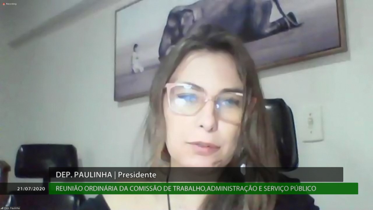 Comissão de Trabalho - Deputada Ana Paula da Silva (PDT)