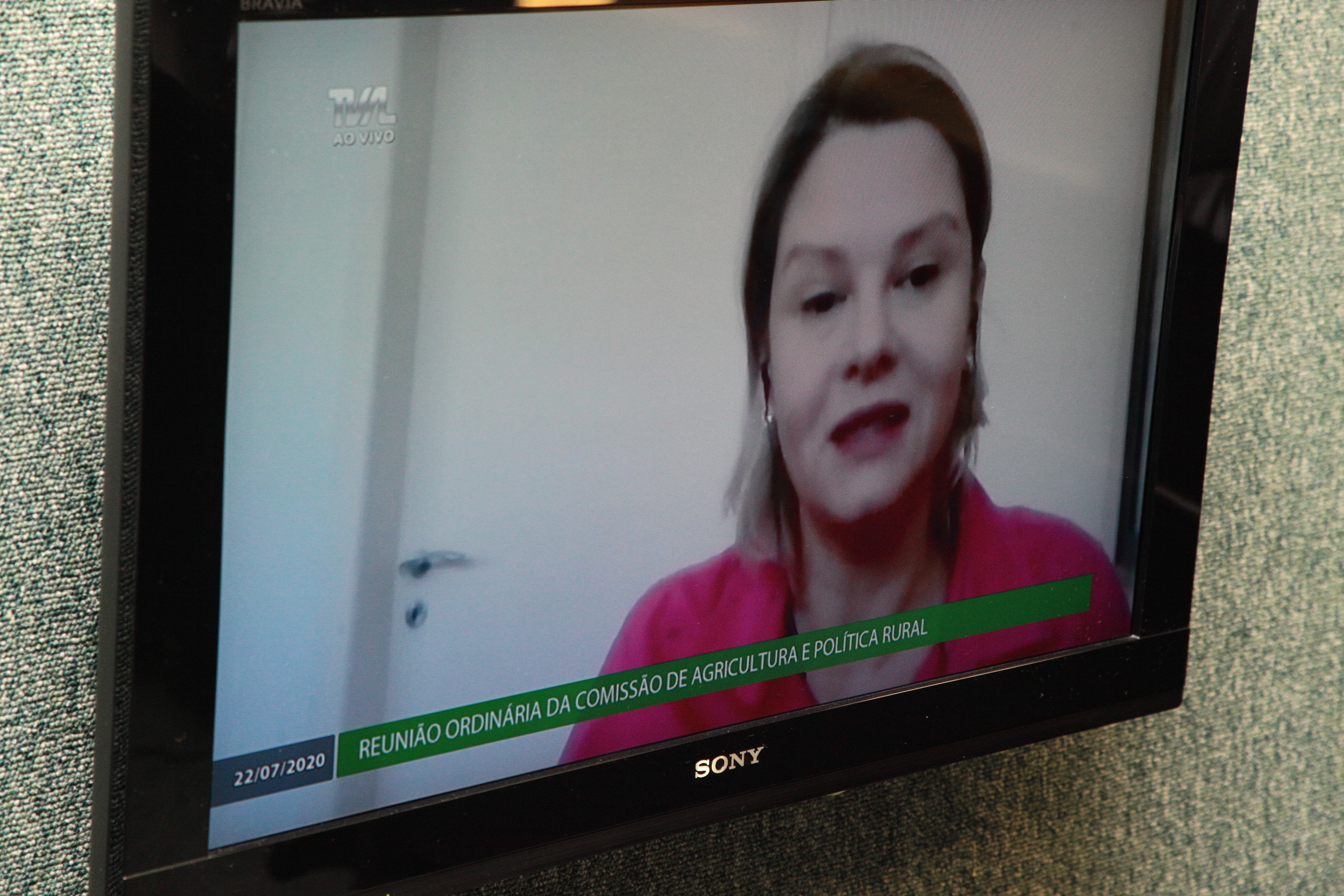 Comissão de Agricultura - Edilene Steinwandter (Epagri