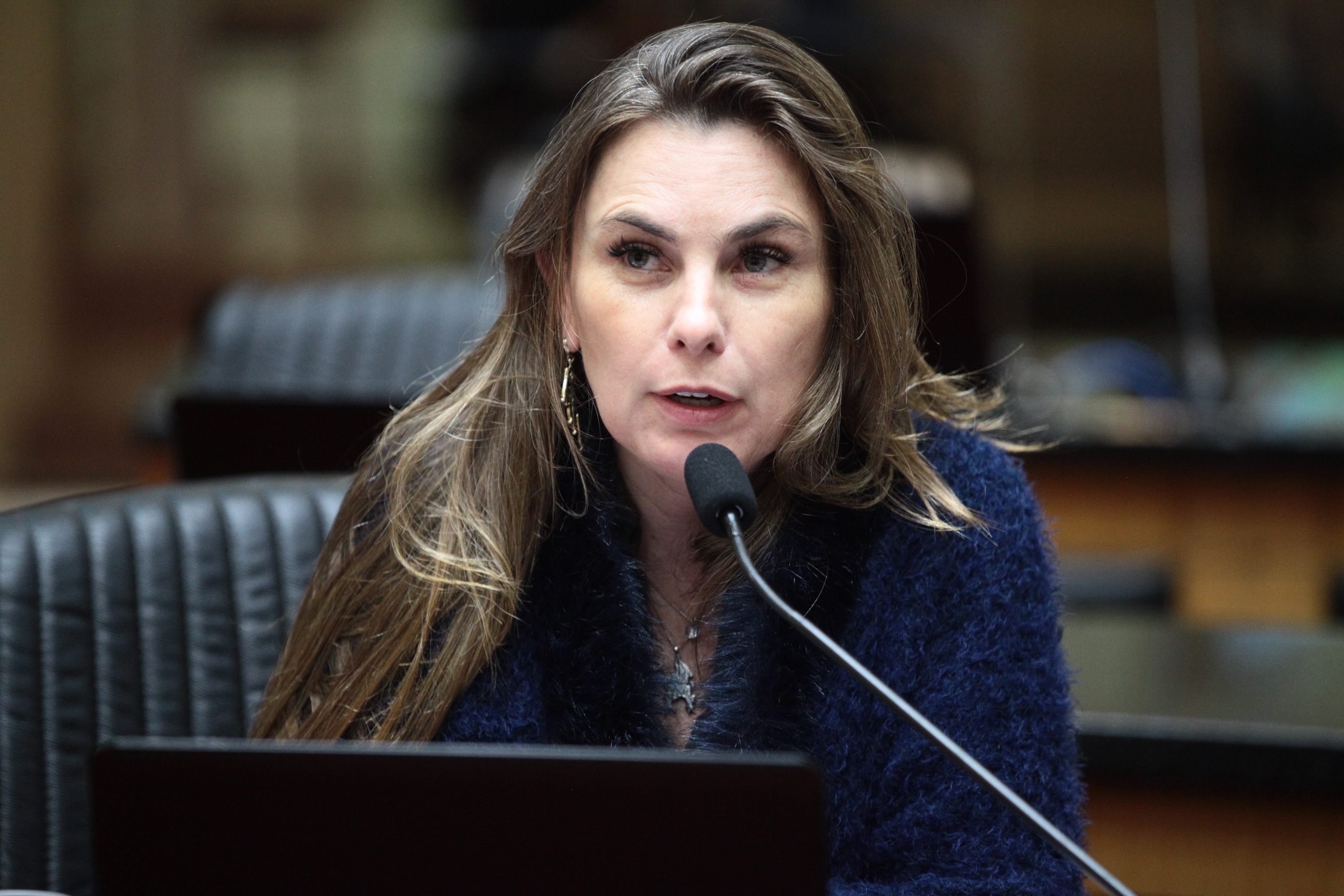 Sessão Plenária - Deputada Ana Paula da Silva (PDT)