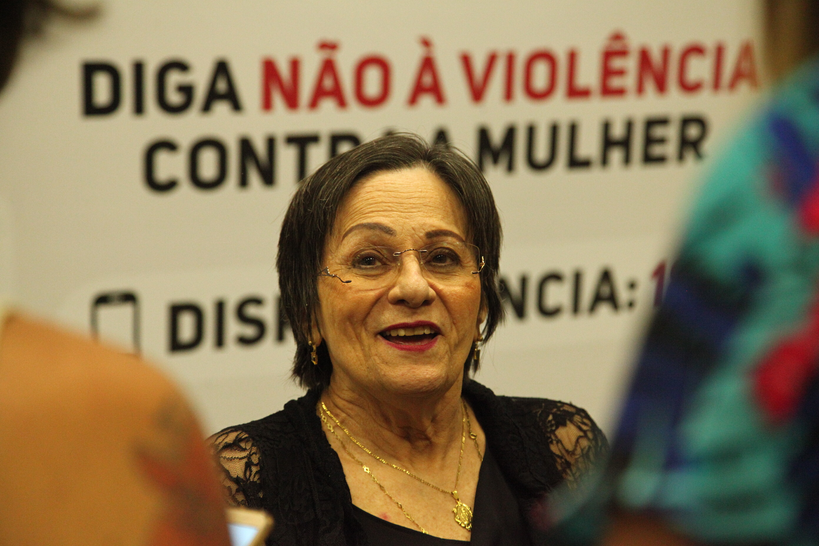 Bancada Feminina comemora os 14 anos da Lei Maria da Penha