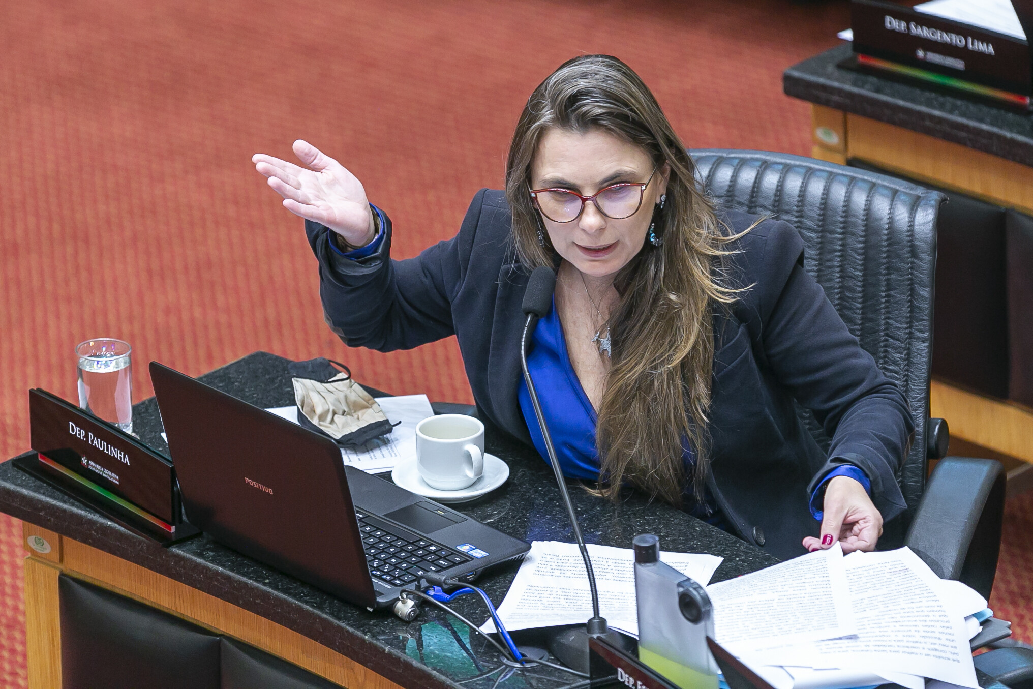 Deputada Paulinha