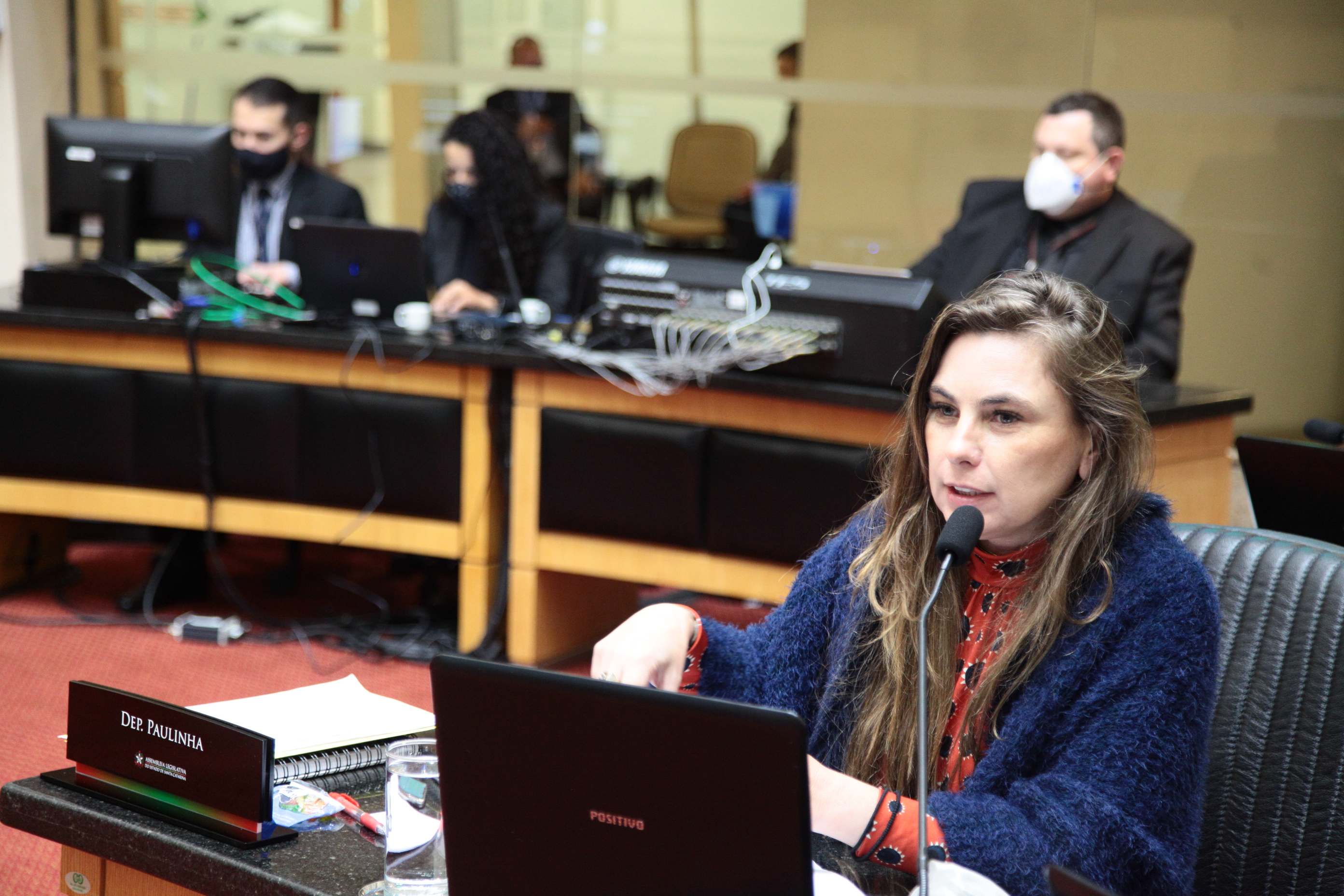Sessão Ordinária  - Deputada Ana Paula da Silva (PDT)