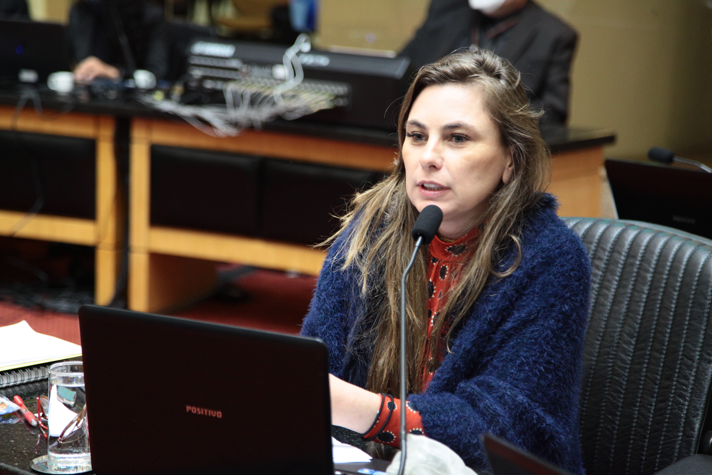 Sessão Ordinária  - Deputada Ana Paula da Silva (PDT)