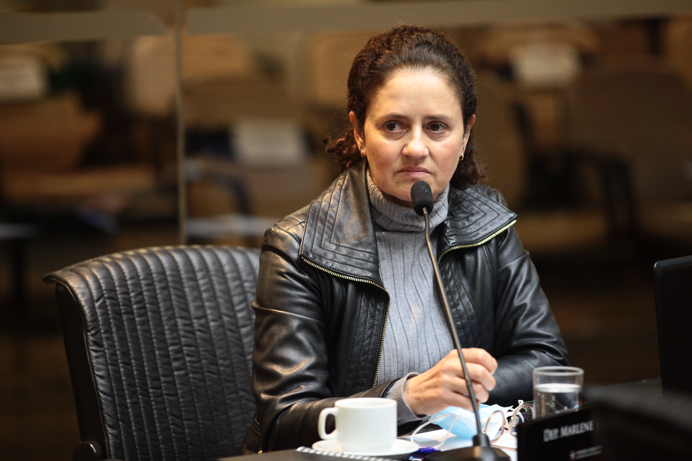 Sessão Ordinária  - Deputada Marlene Fengler (PSD)