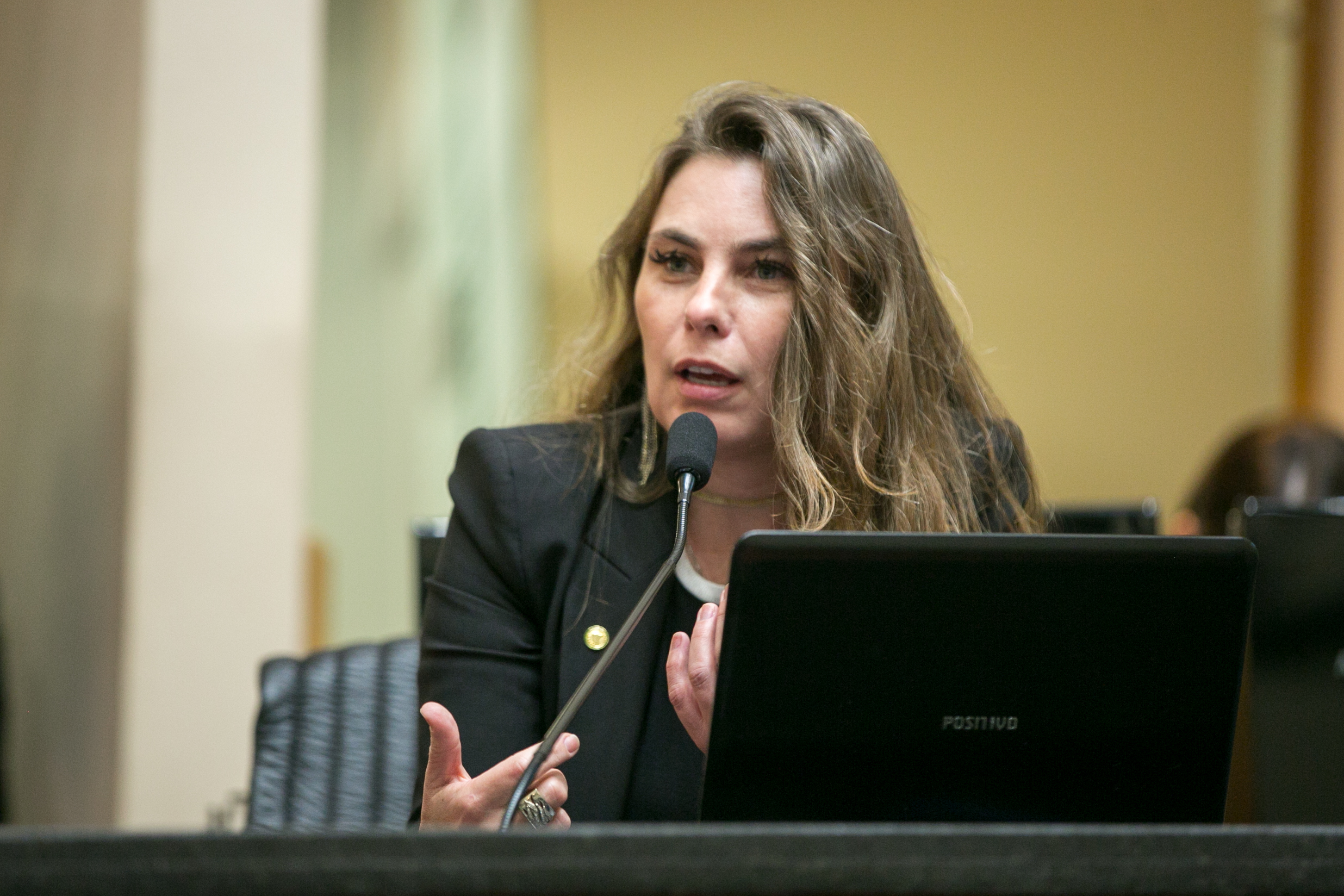 Deputada Paulinha (PDT)