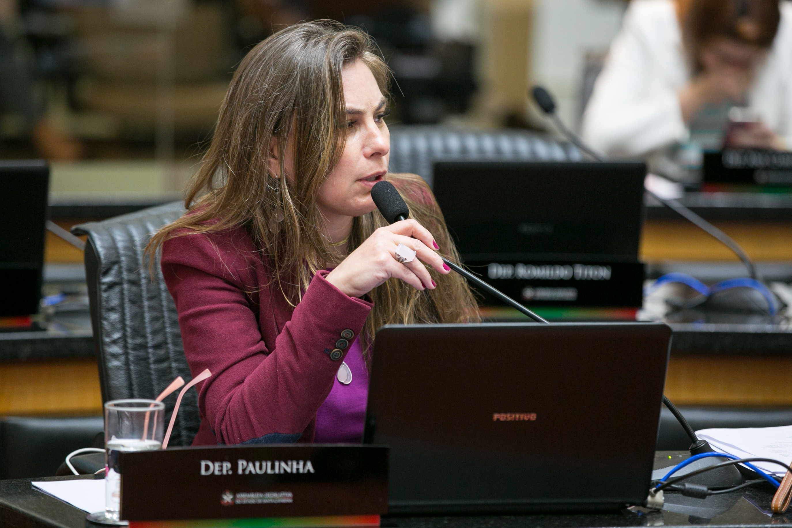Deputada Paulinha (PDT)