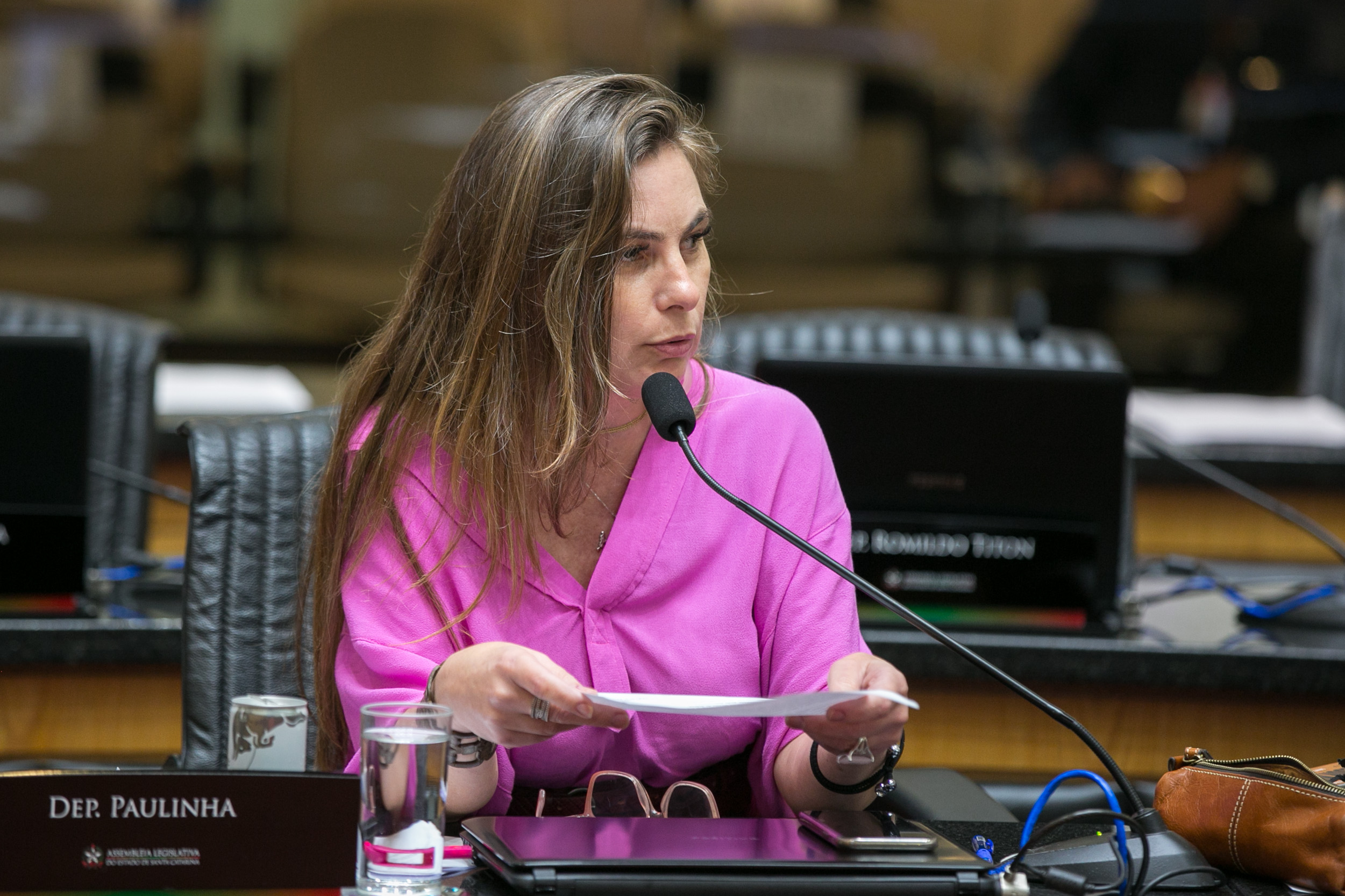 Deputada Paulinha (PDT)