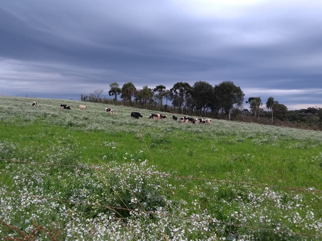 As mudanças climáticas influenciam na agricultura de SC?