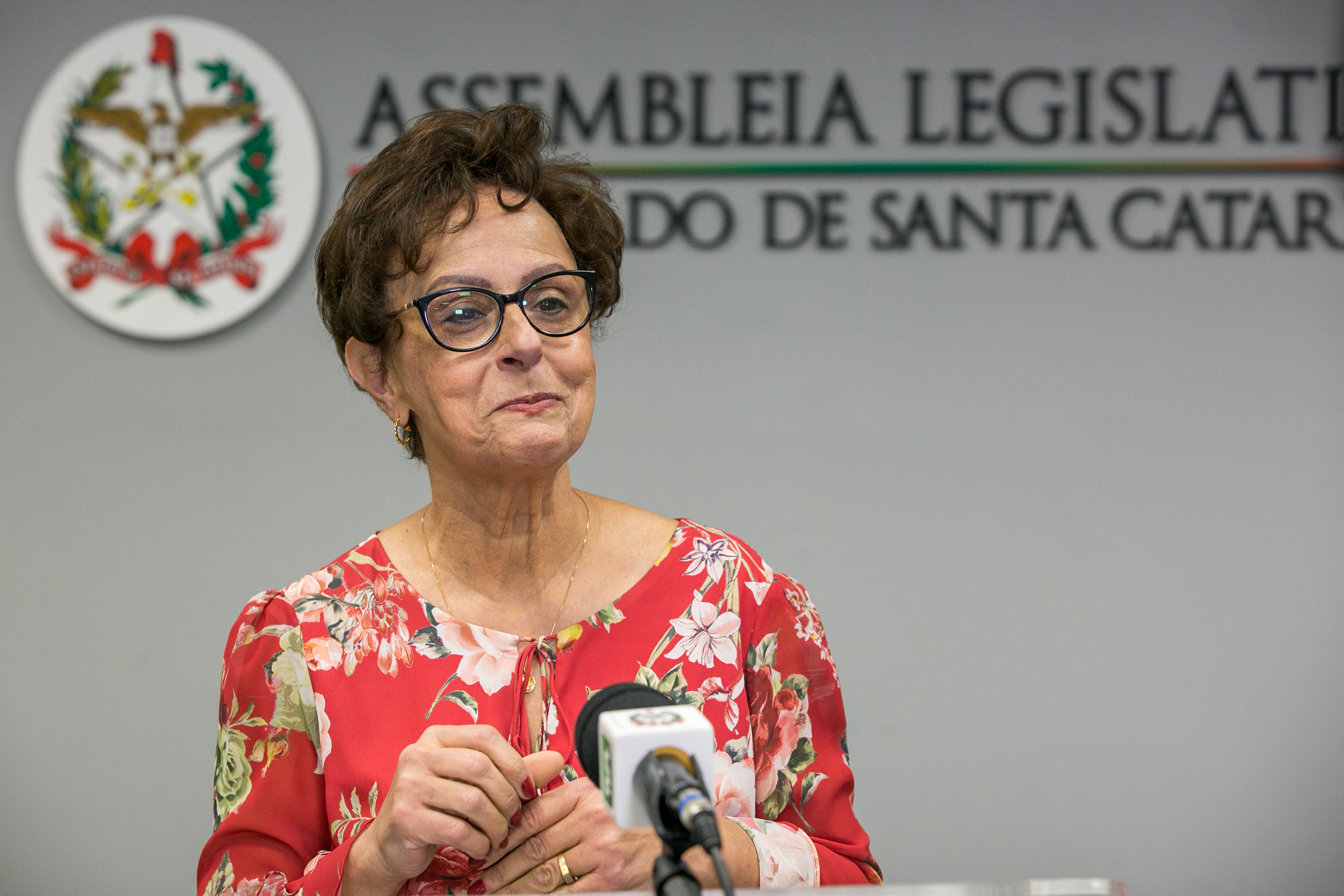 Deputada Dirce Heiderscheidt (MDB)