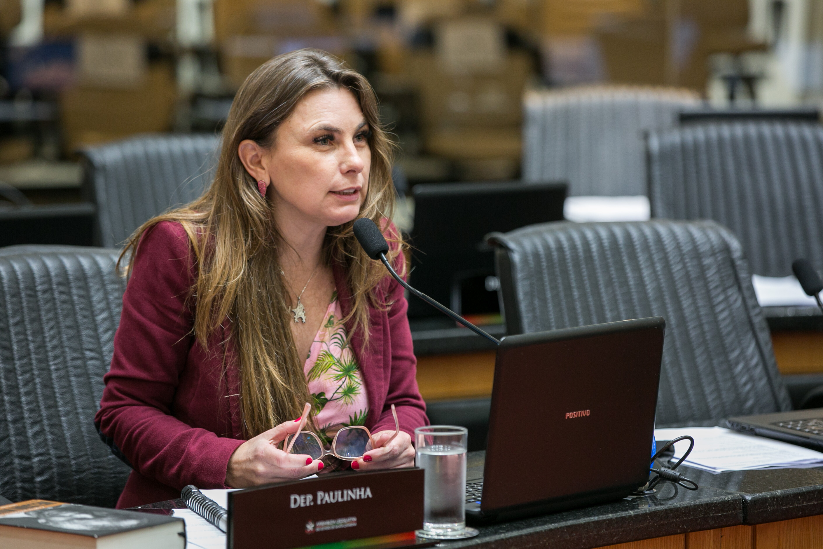 Deputados divergem sobre compra de instrumentos musicais pela SED
