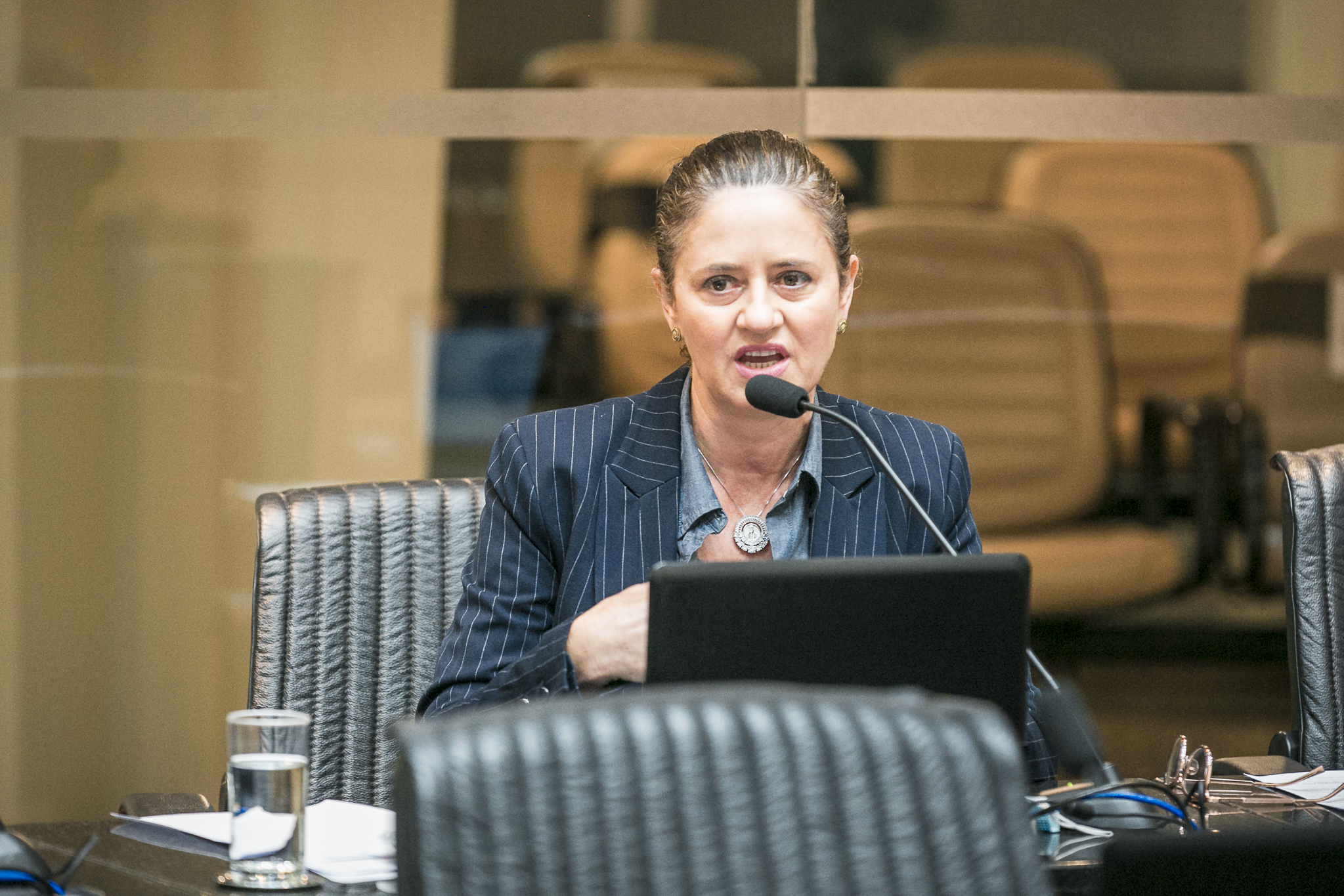 Deputada Marlene Fengler (PSD)
