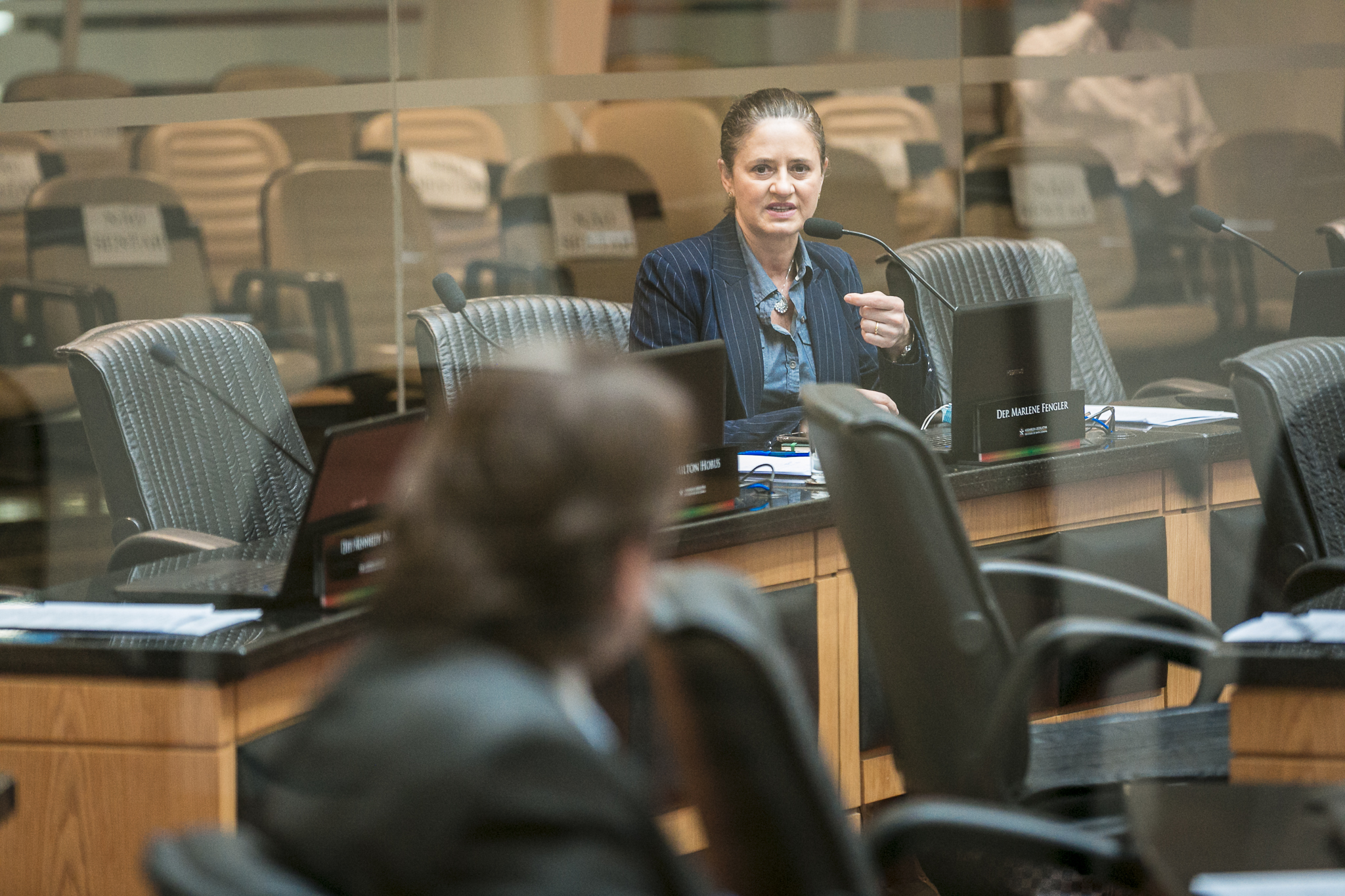 Deputada Marlene Fengler (PSD)