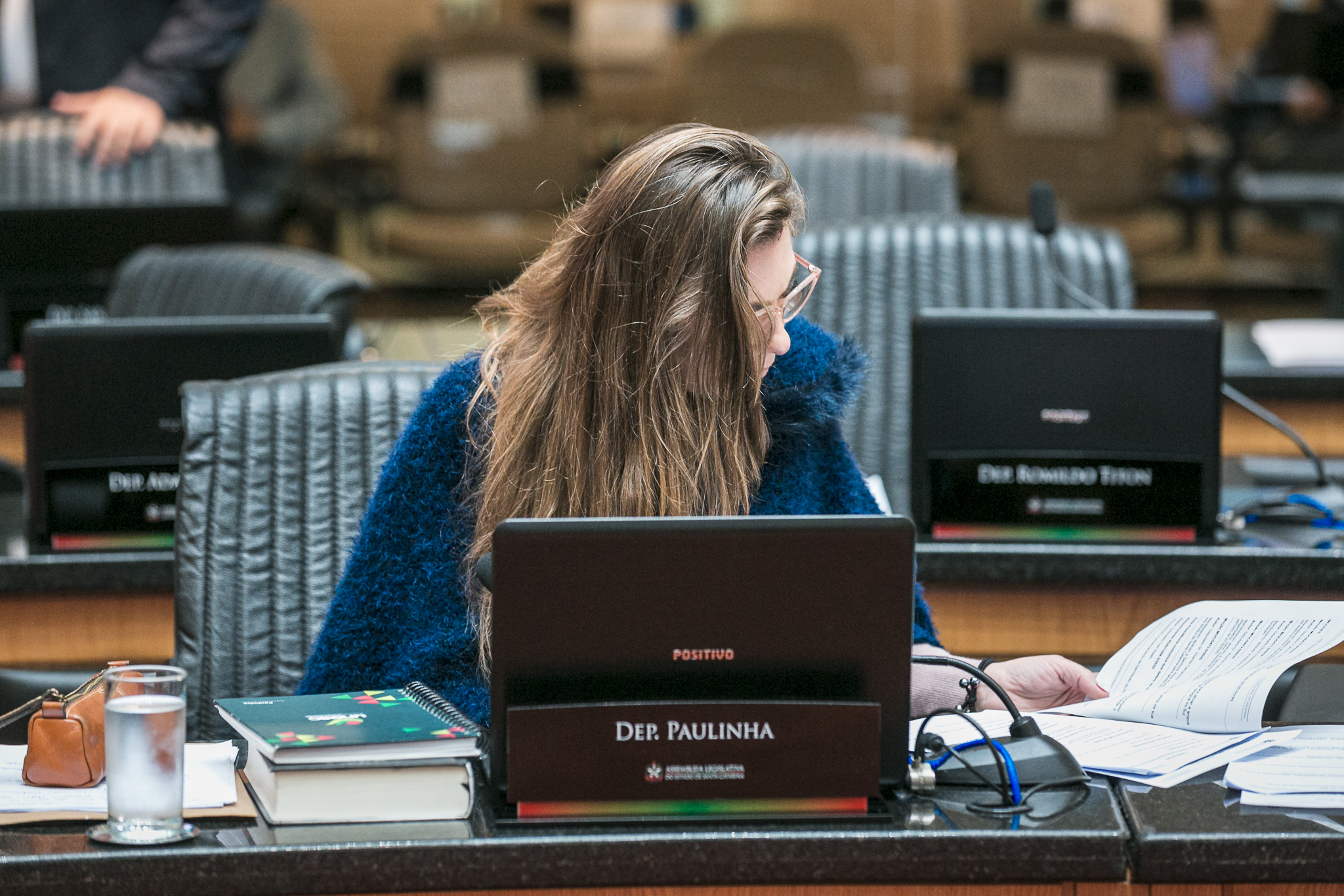 Deputada Ana Paula da Silva (PDT)