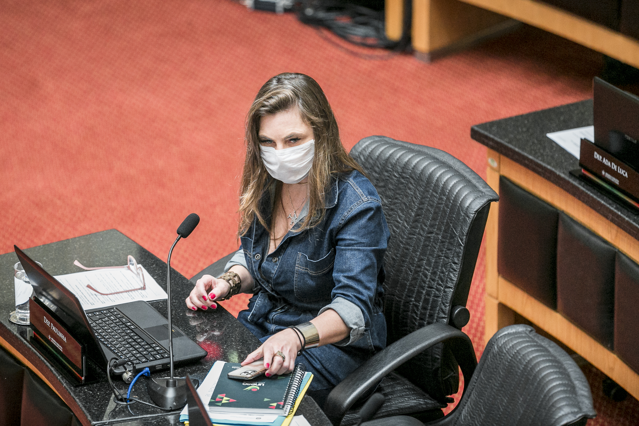 Deputada Ana Paula da Silva (PDT)