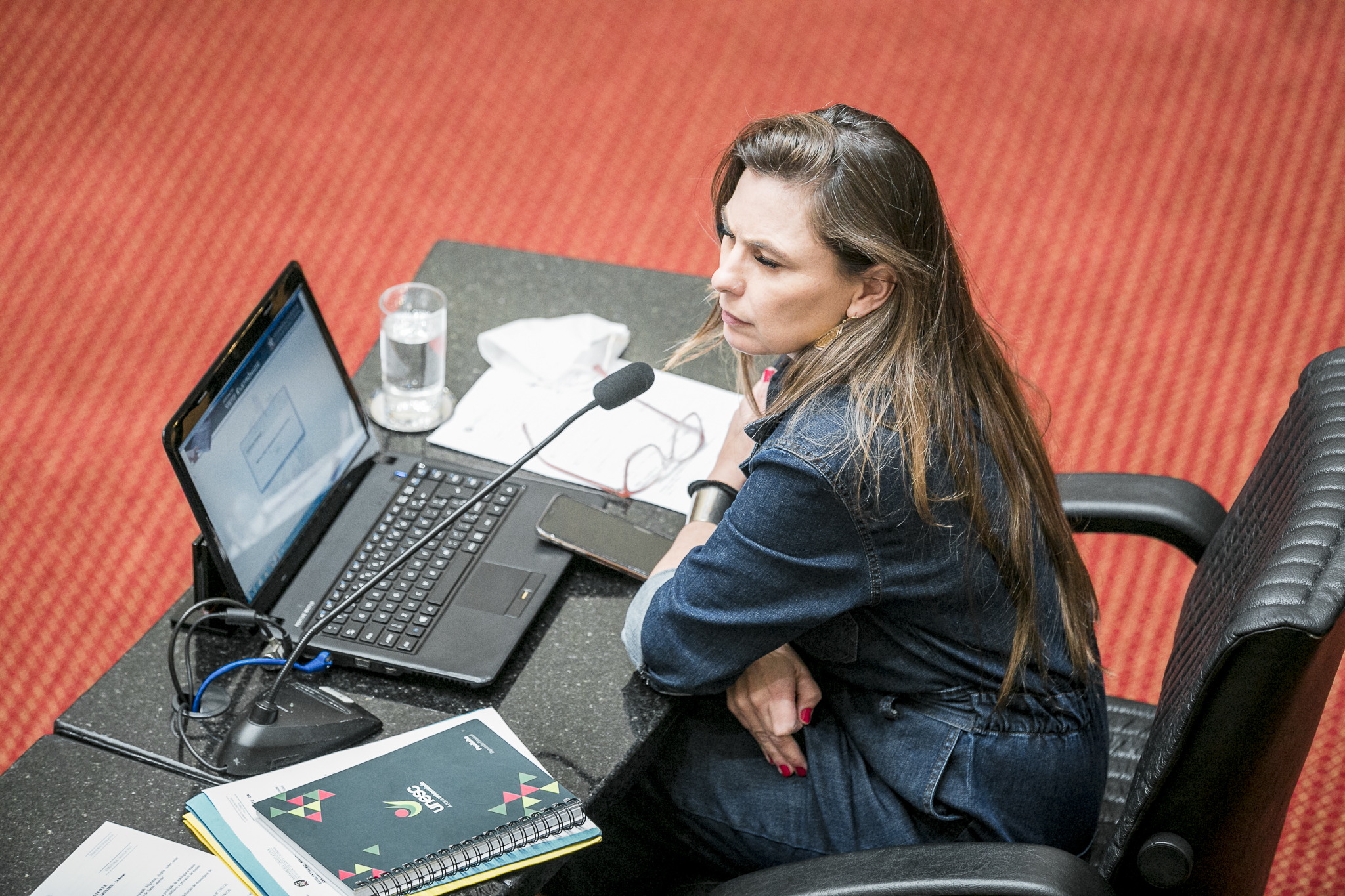 Deputada Ana Paula da Silva (PDT)