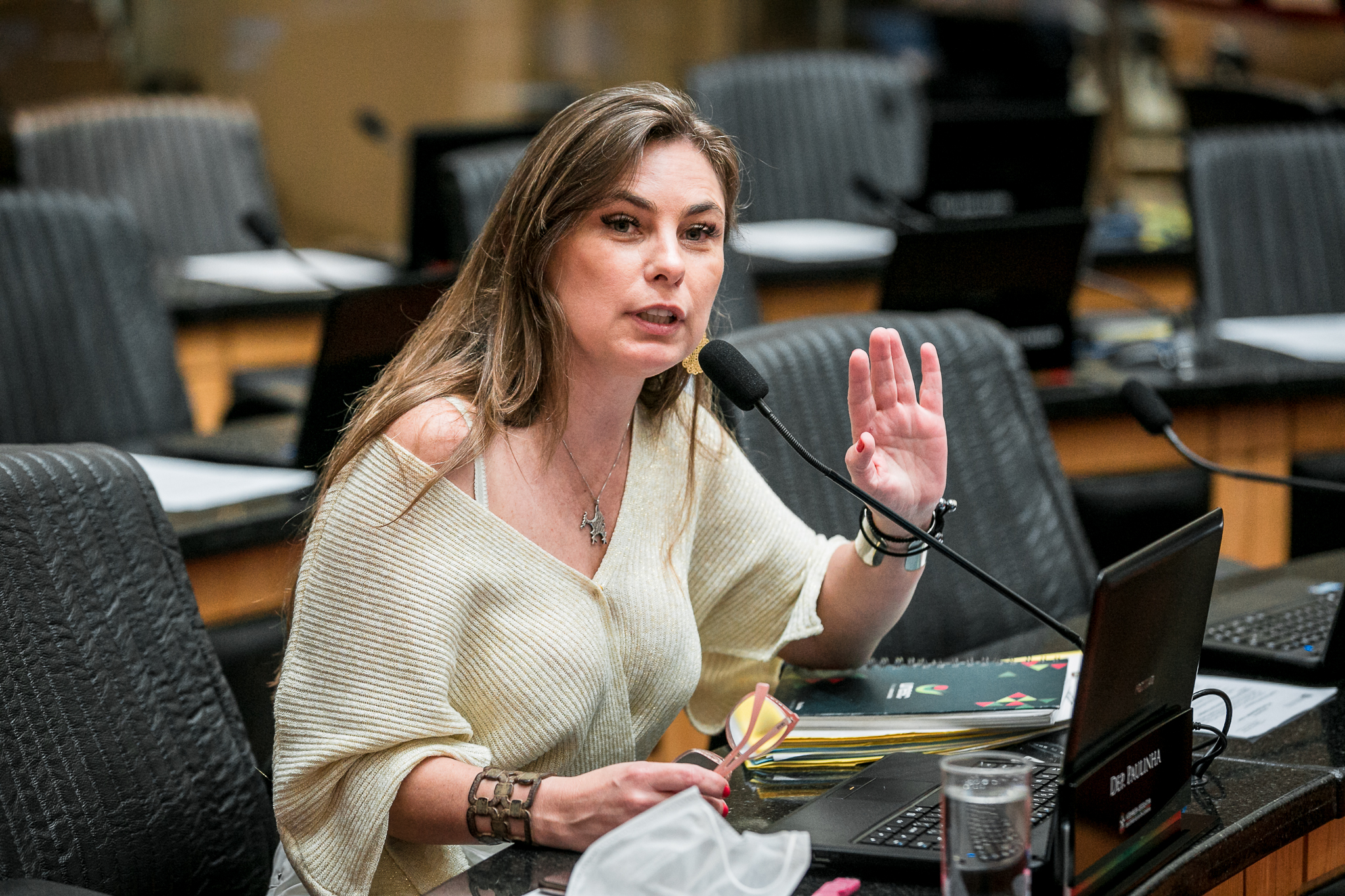 Deputada Ana Paula da Silva (PDT)