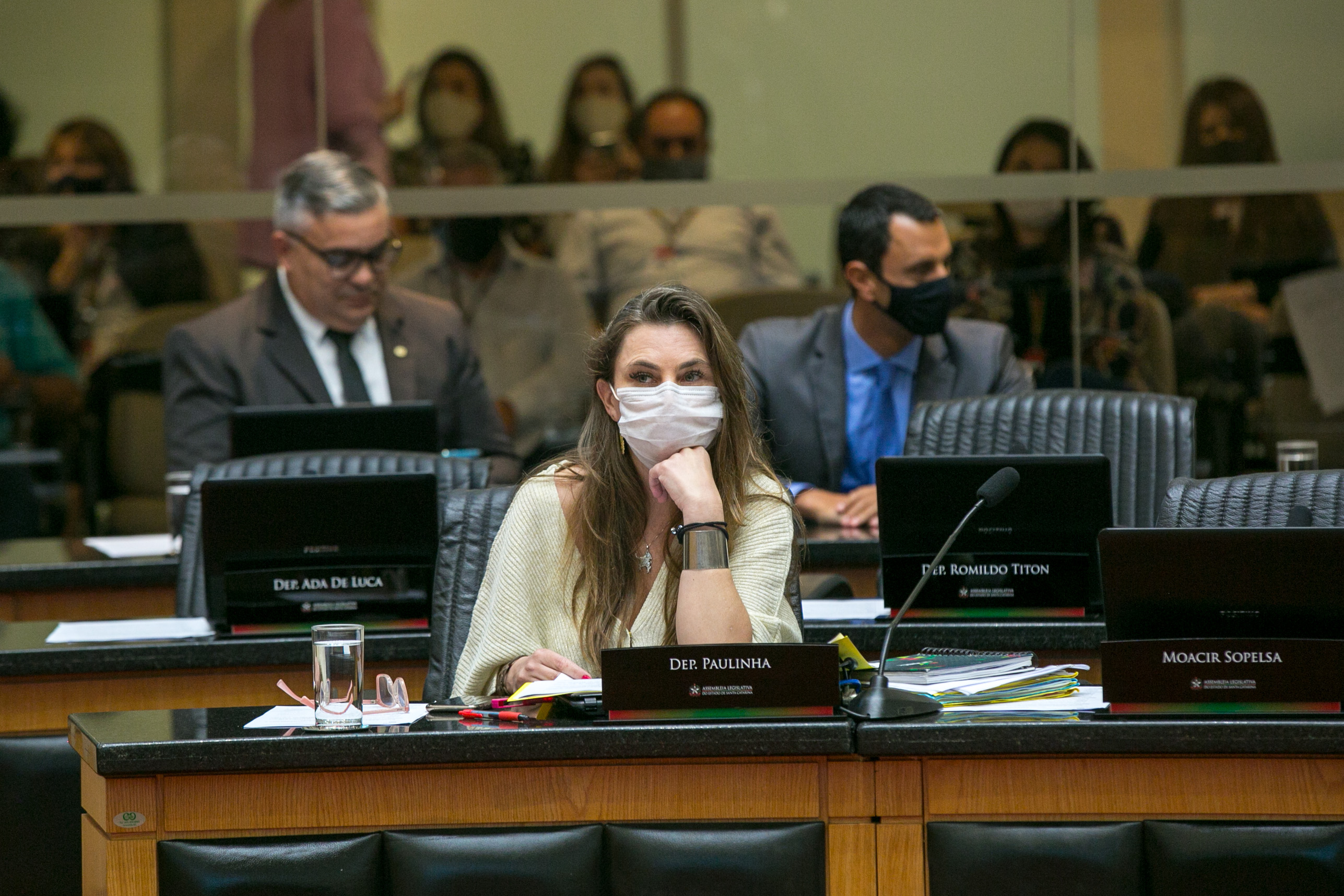 Deputada Paulinha (PDT)