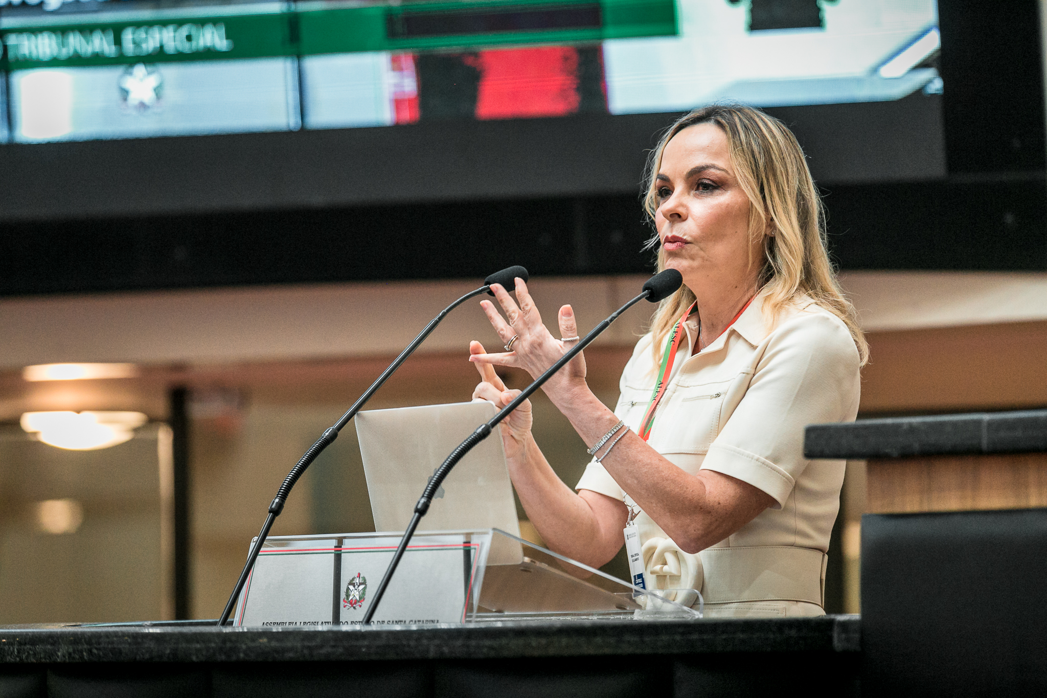 Advogada Ana Cristina Blasi
