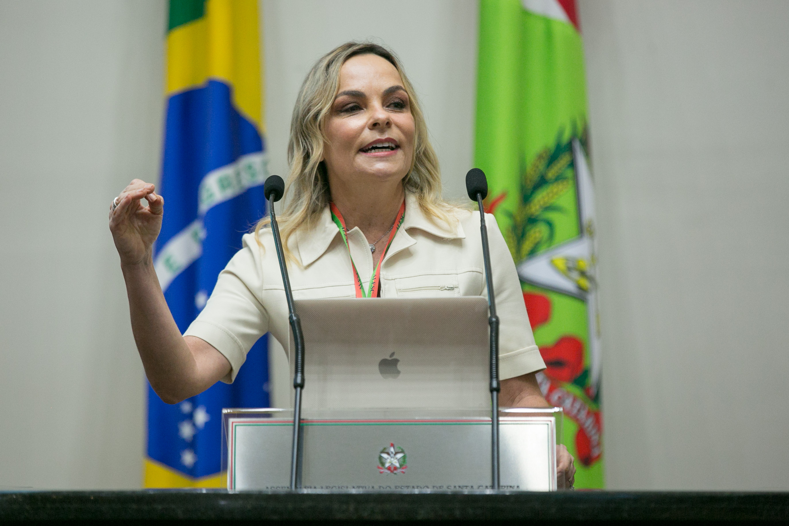 Advogada Ana Cristina Blasi, defesa da vice-governadora Daniela Reinehr