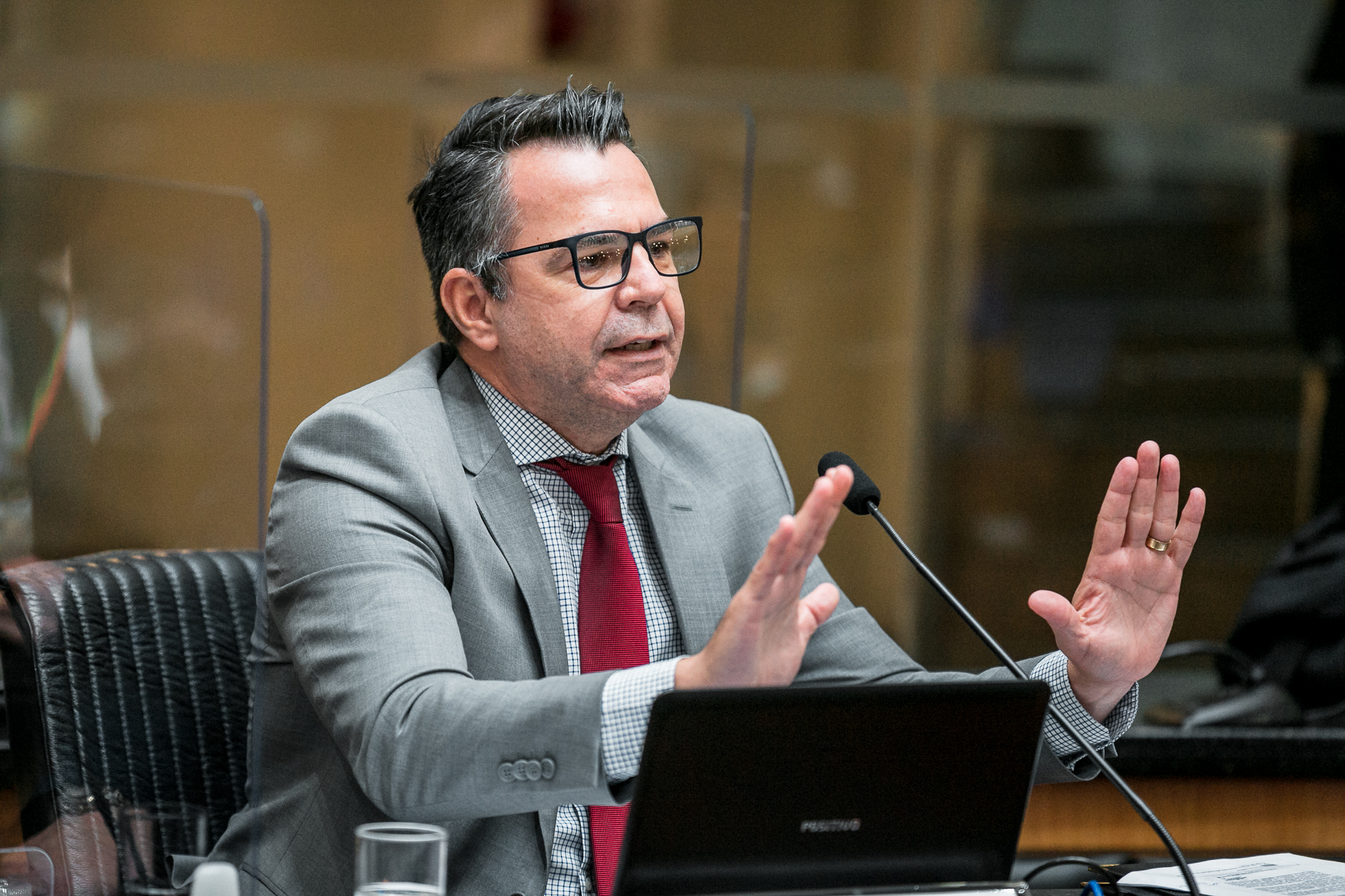 Deputado Luiz Fernando Vampiro  (MDB)