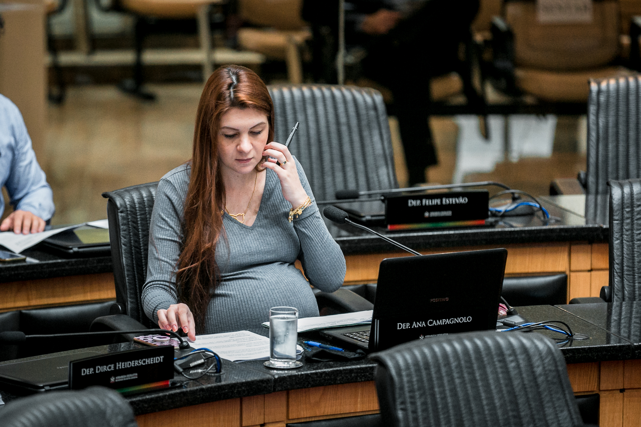 Deputada Ana Caroline Campagnolo (PSL)