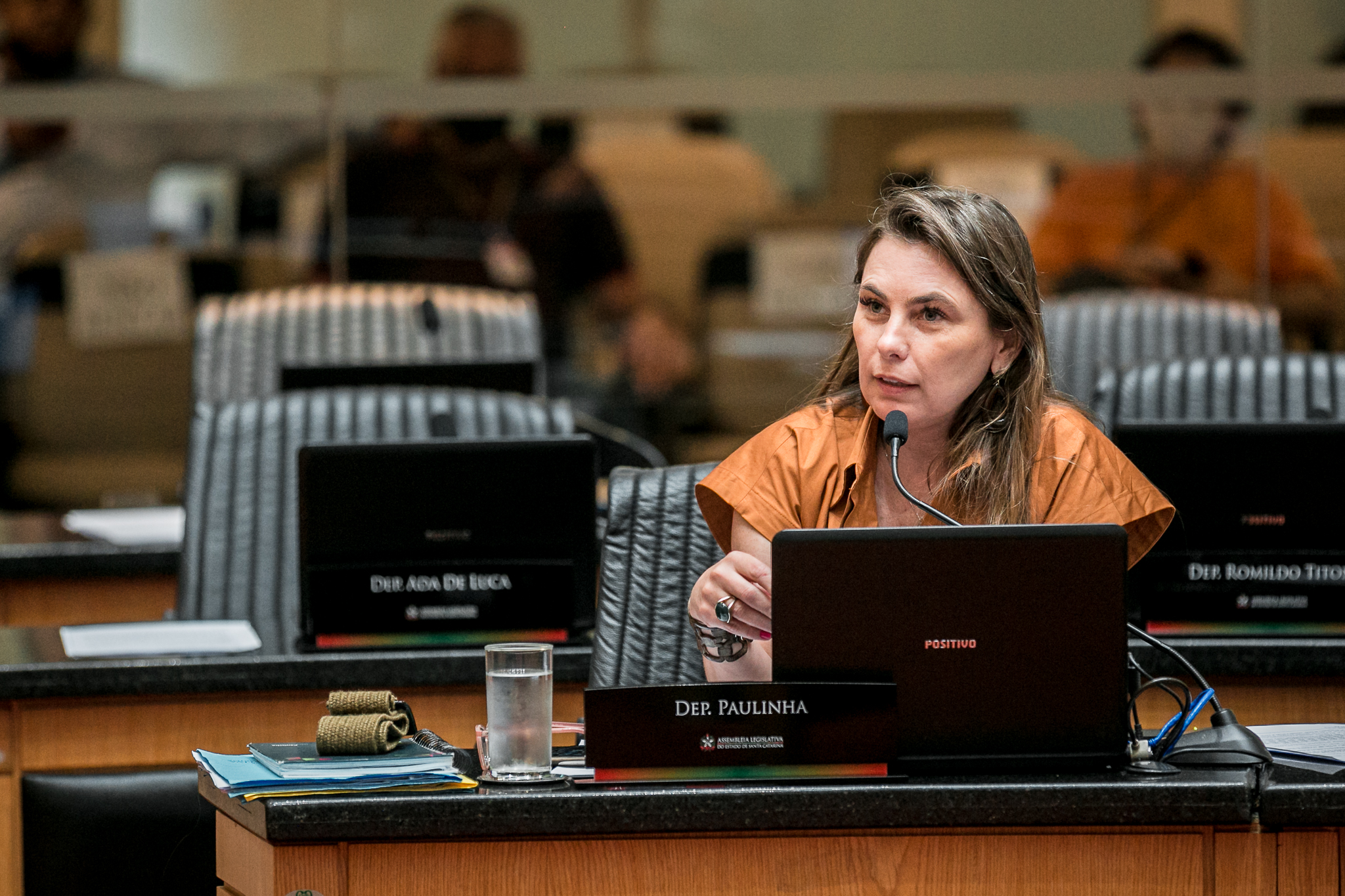 Deputada Ana Paula da Silva (PDT)