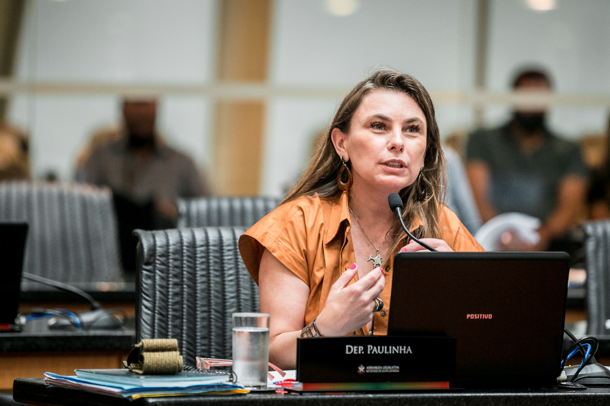 Deputada Ana Paula da Silva (PDT)