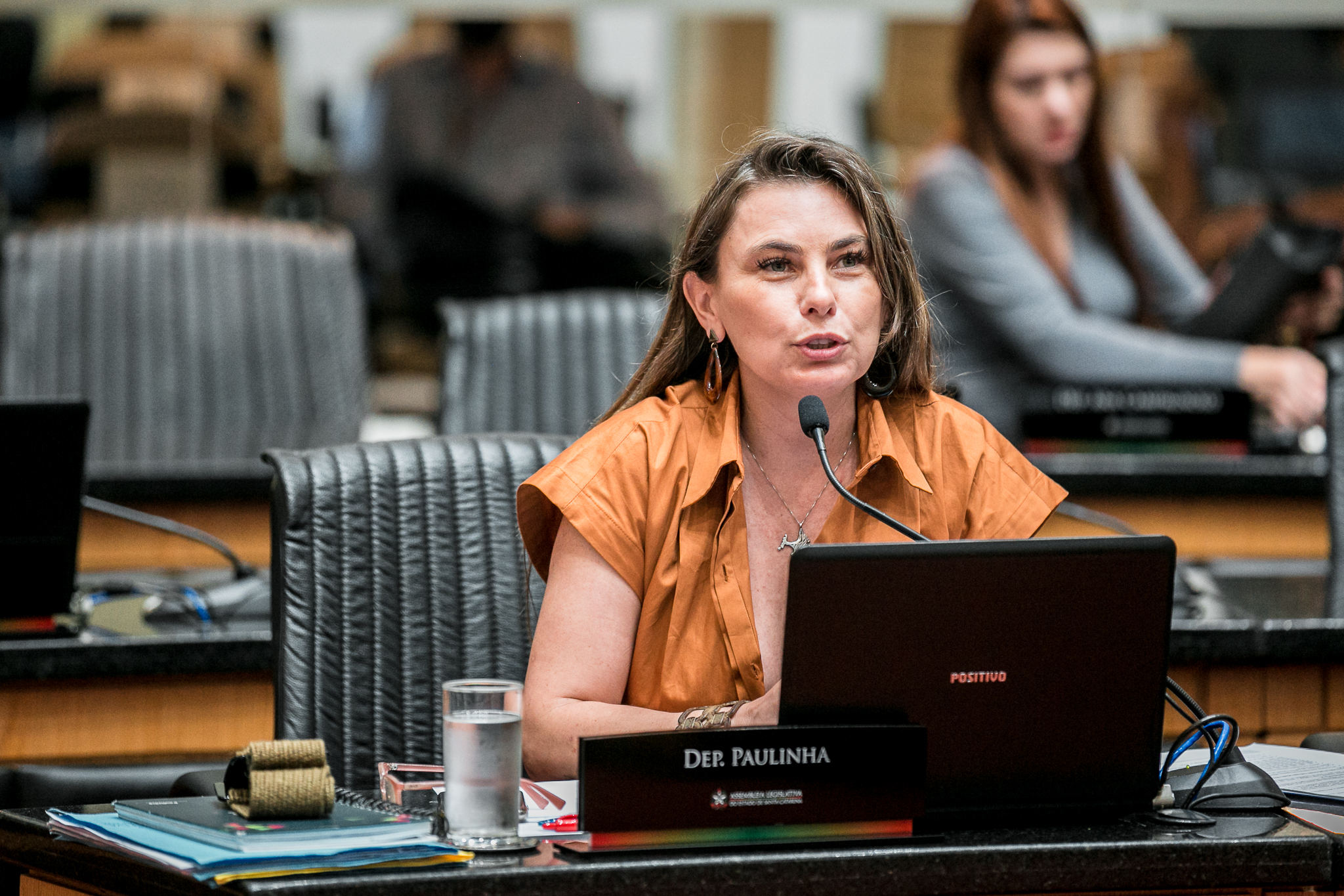 Deputada Ana Paula da Silva (PDT)