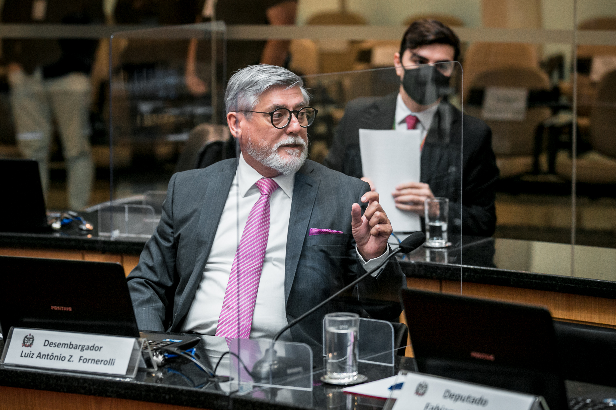 Desembargador Luiz Antônio Z. Fornerolli
