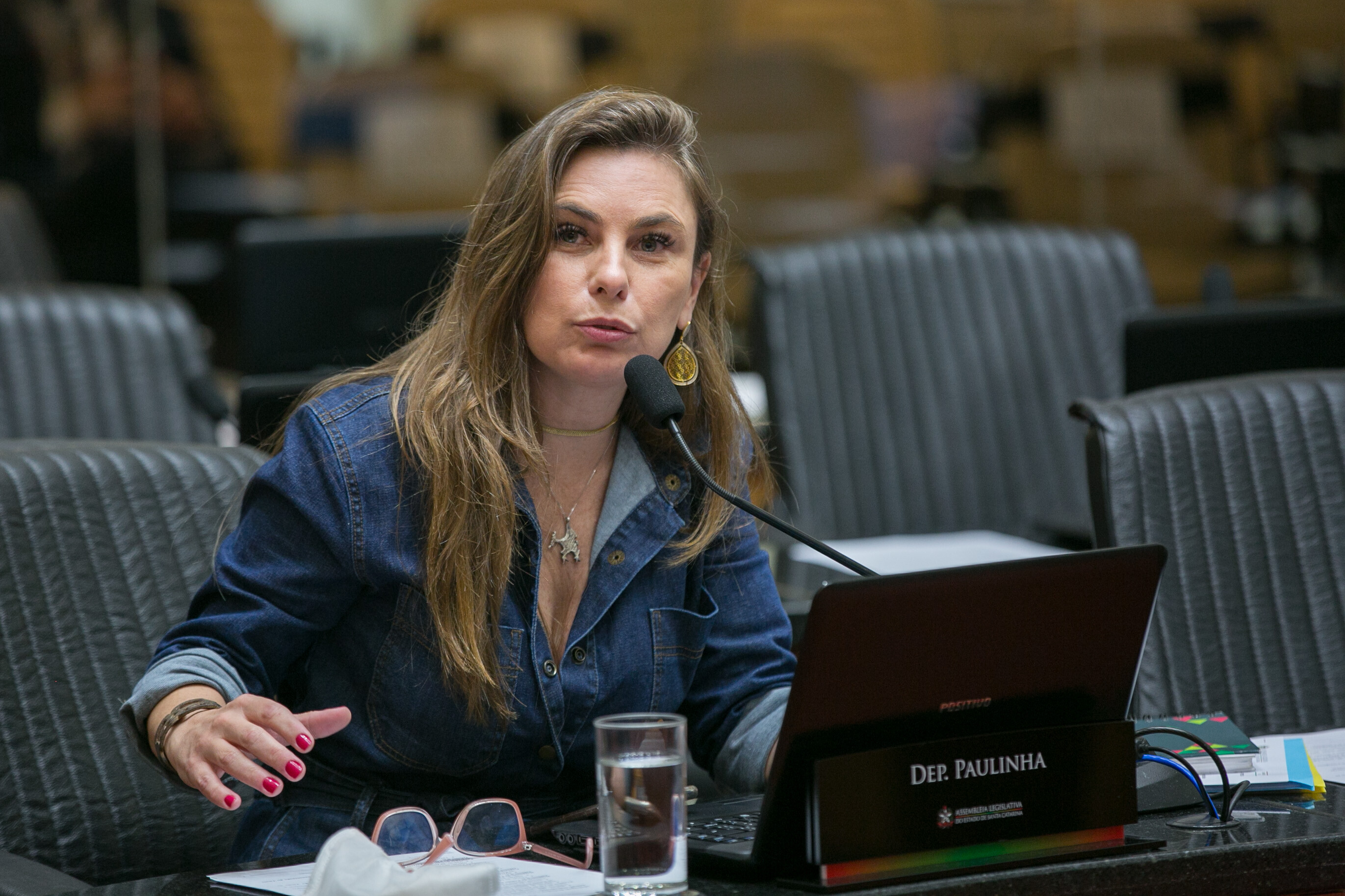 Deputada Paulinha