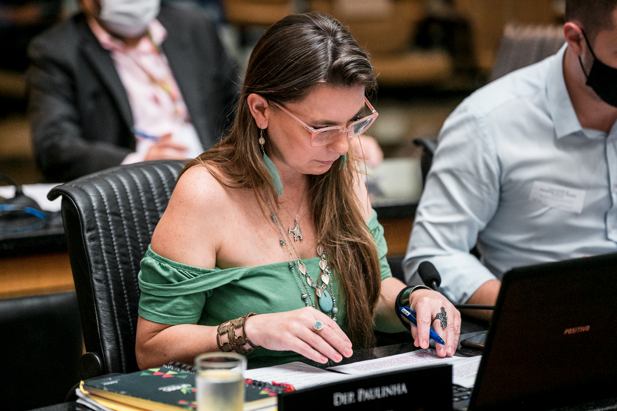 Deputada Ana Paula da Silva (PDT)