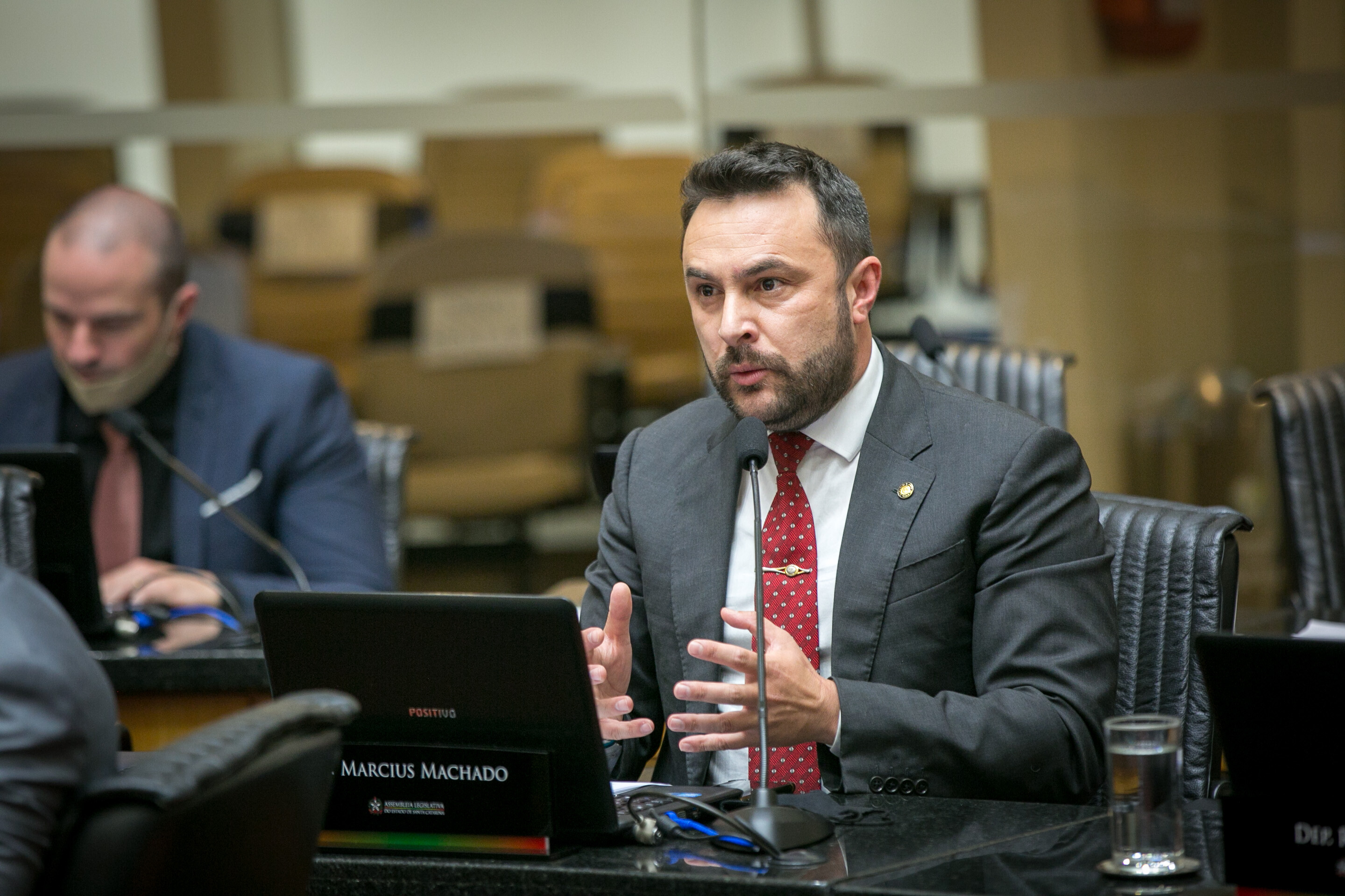 Plenário aprova projetos sobre direitos dos animais e dos consumidores