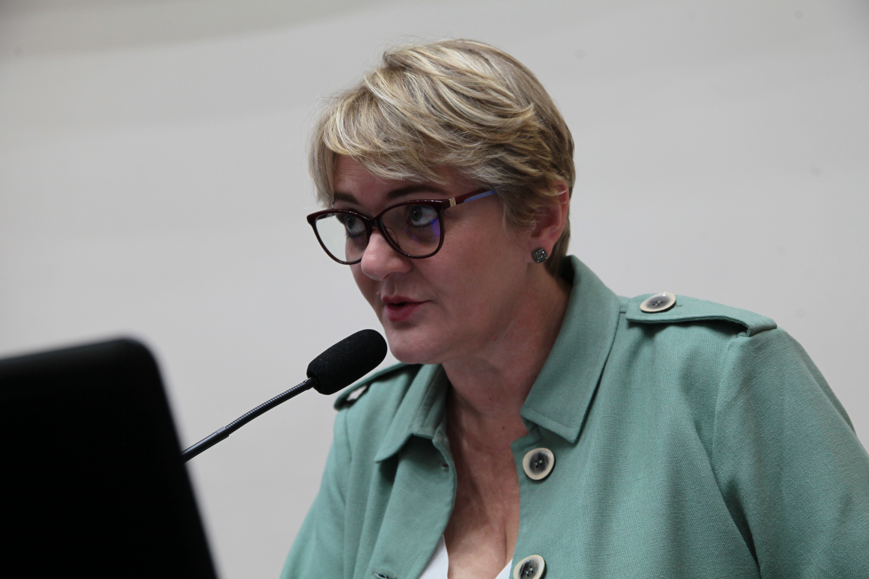 Comissão de Finanças e Tributação - Deputada Luciane Carminatti (PT)