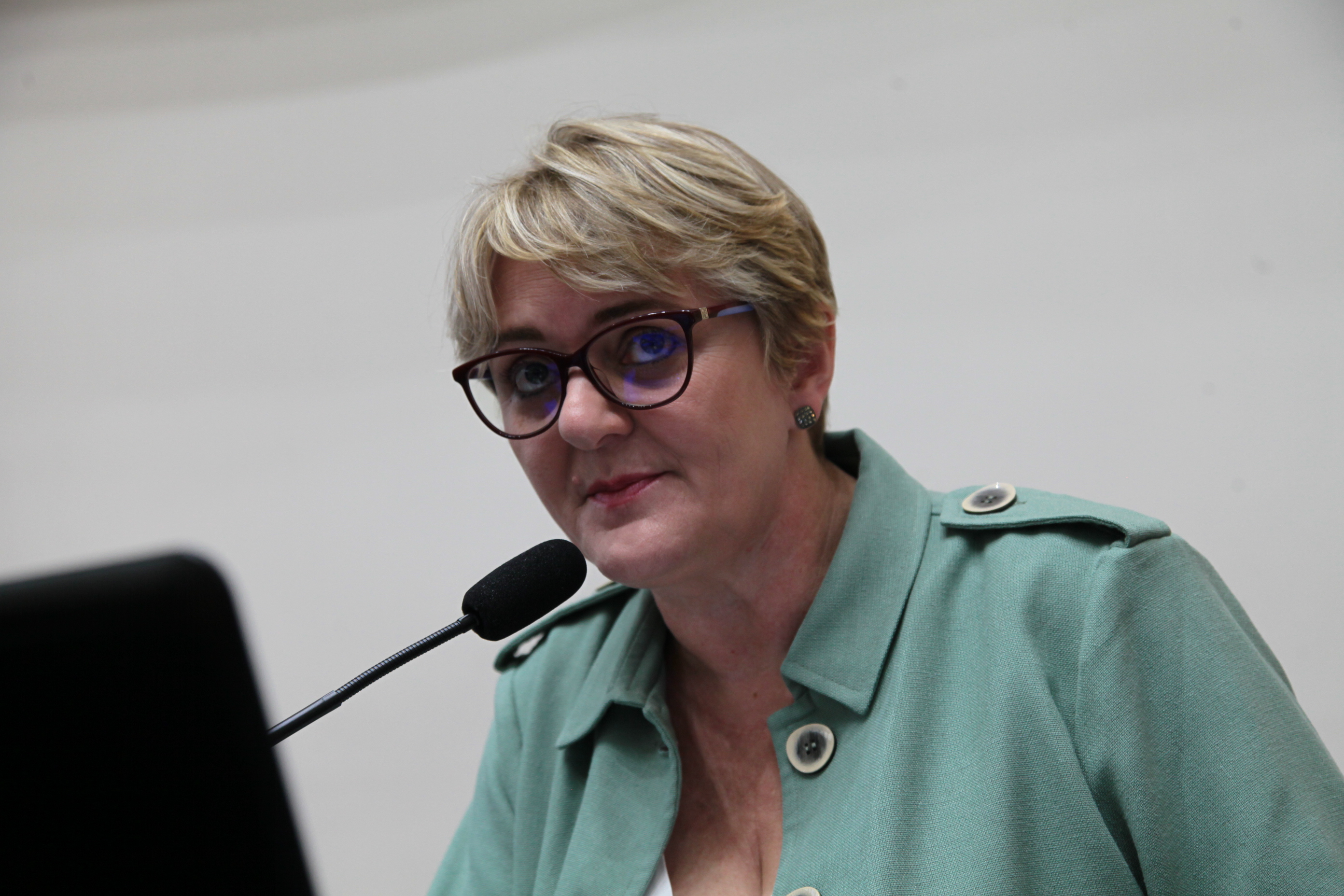 Comissão de Finanças e Tributação - Deputada Luciane Carminatti (PT)