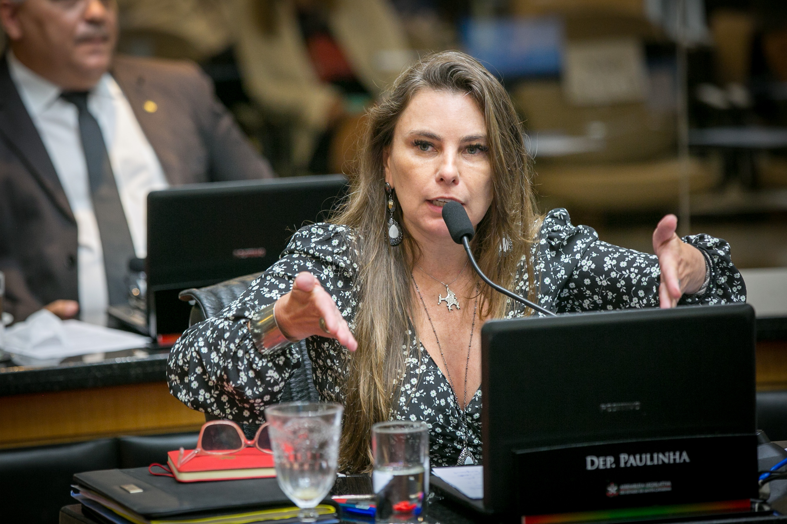 Deputada Paulinha (PDT)