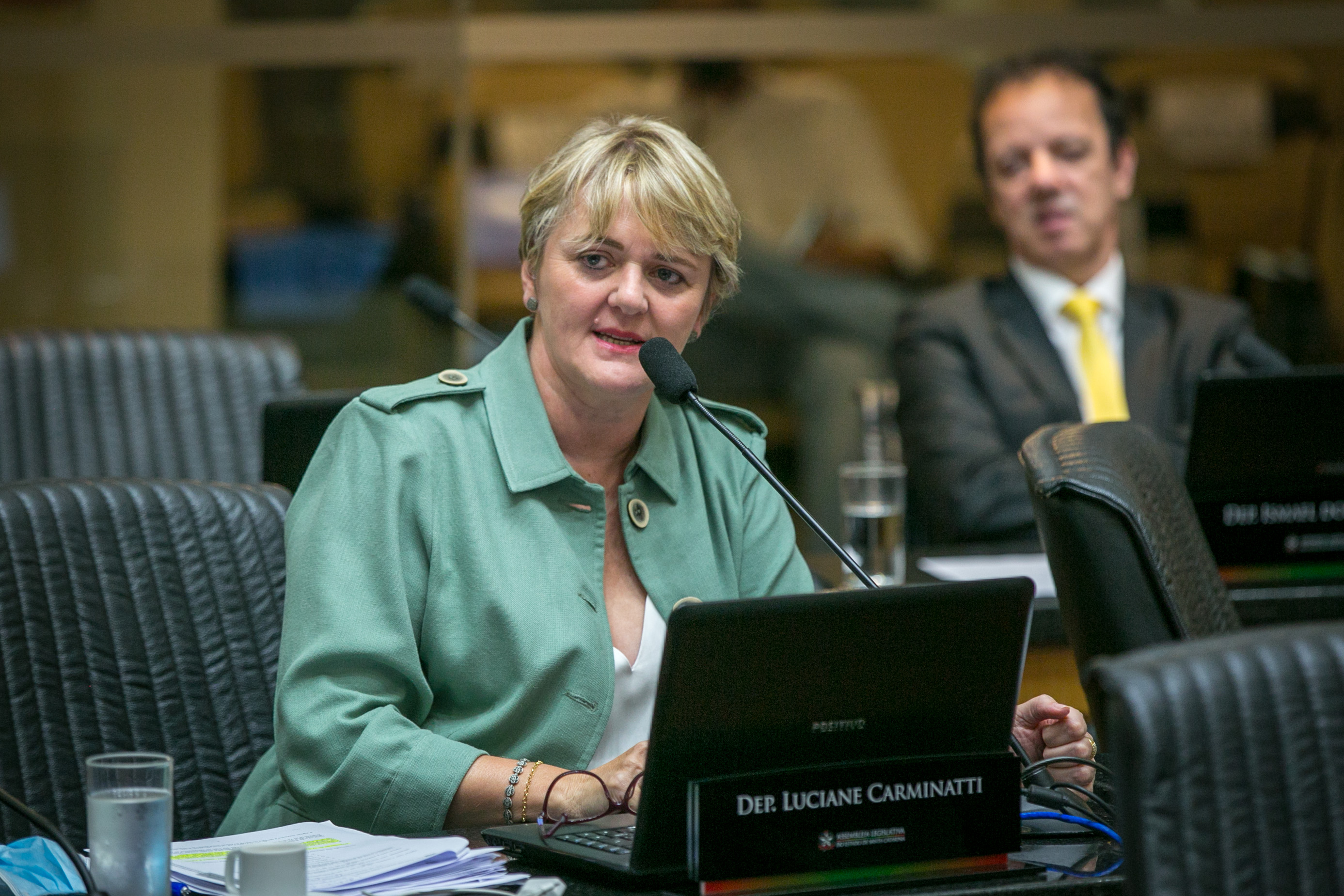 Deputada Luciane Carminatti (PT)