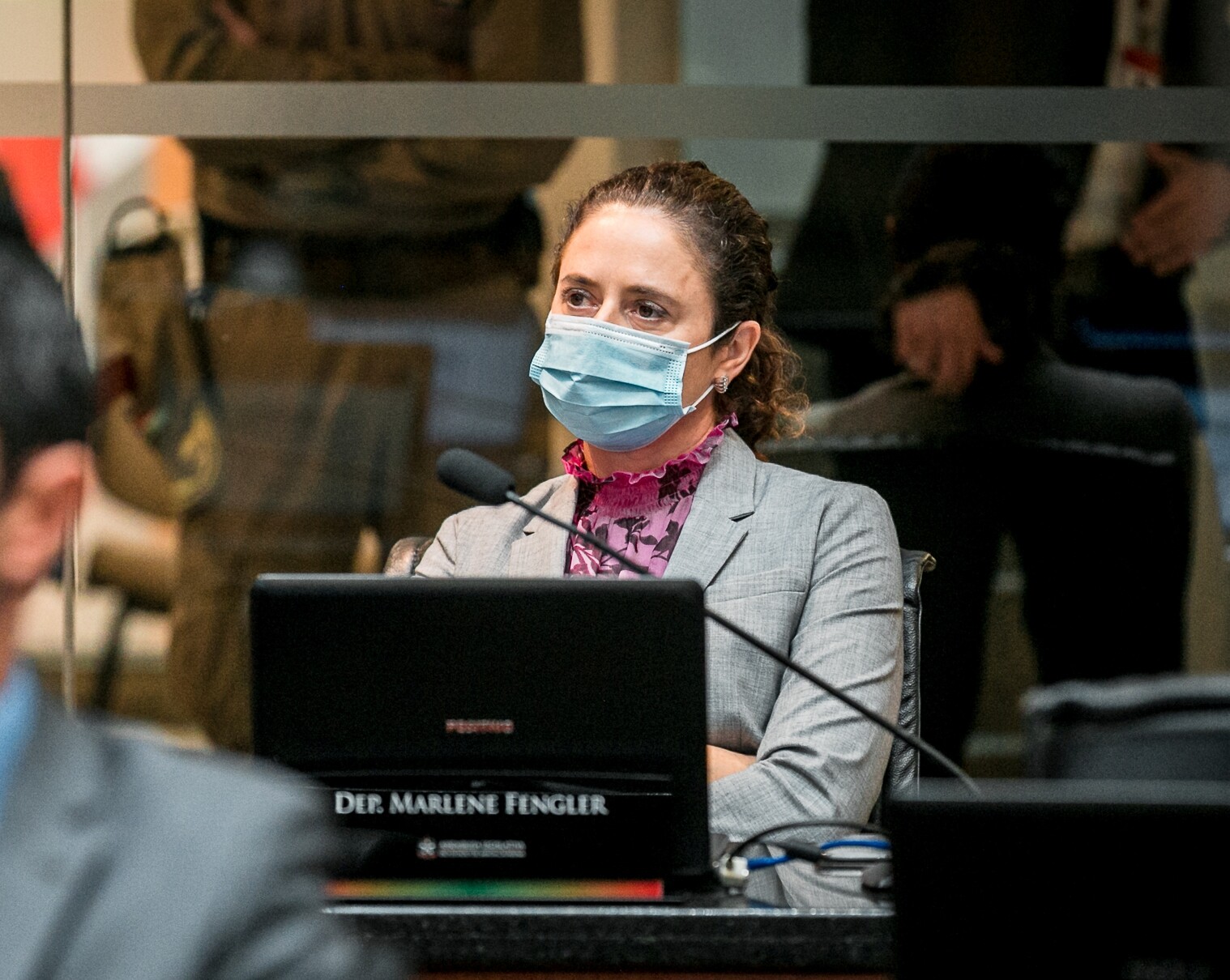 Deputada Marlene Fengler