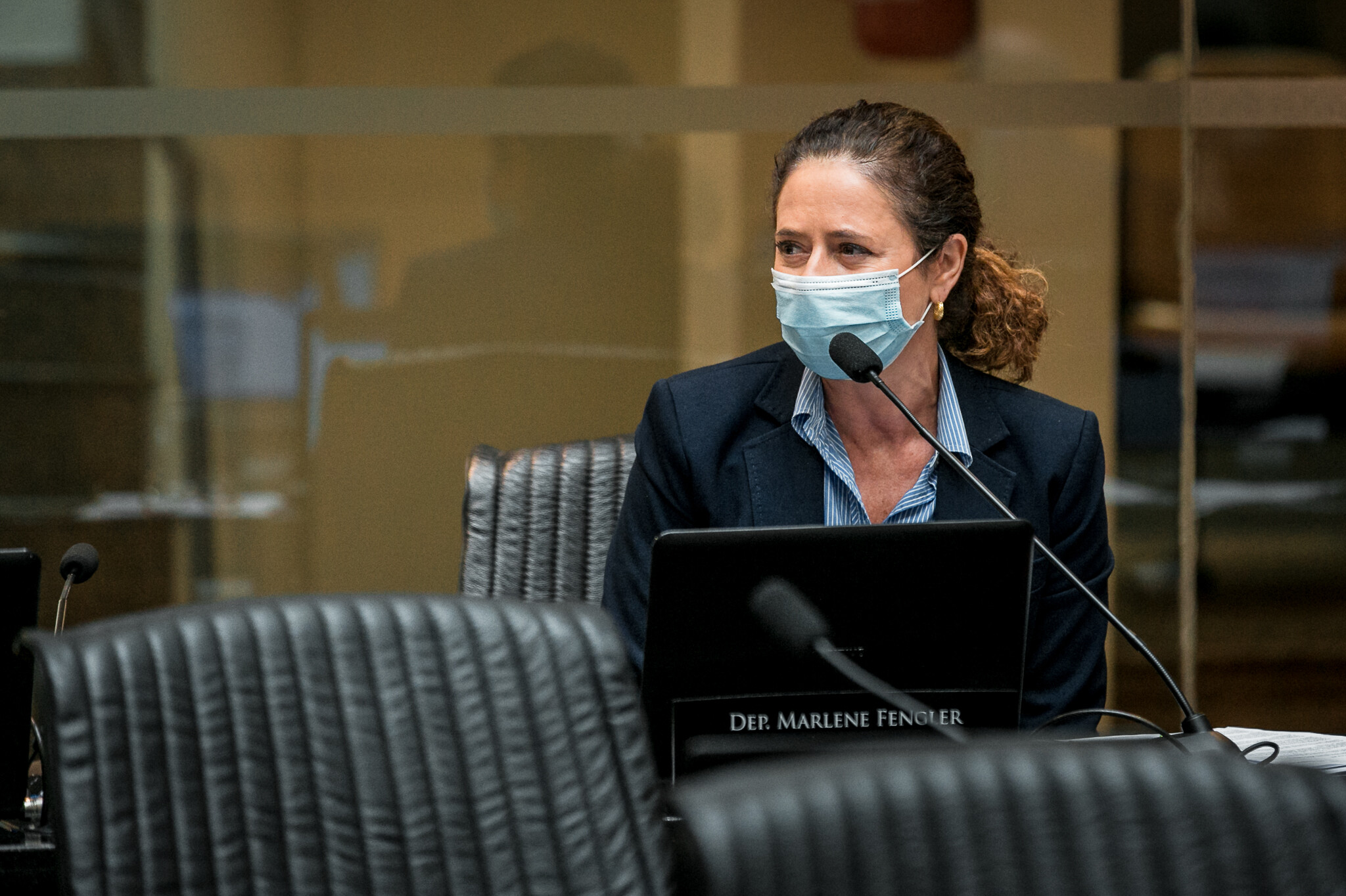 Deputada Marlene Fengler