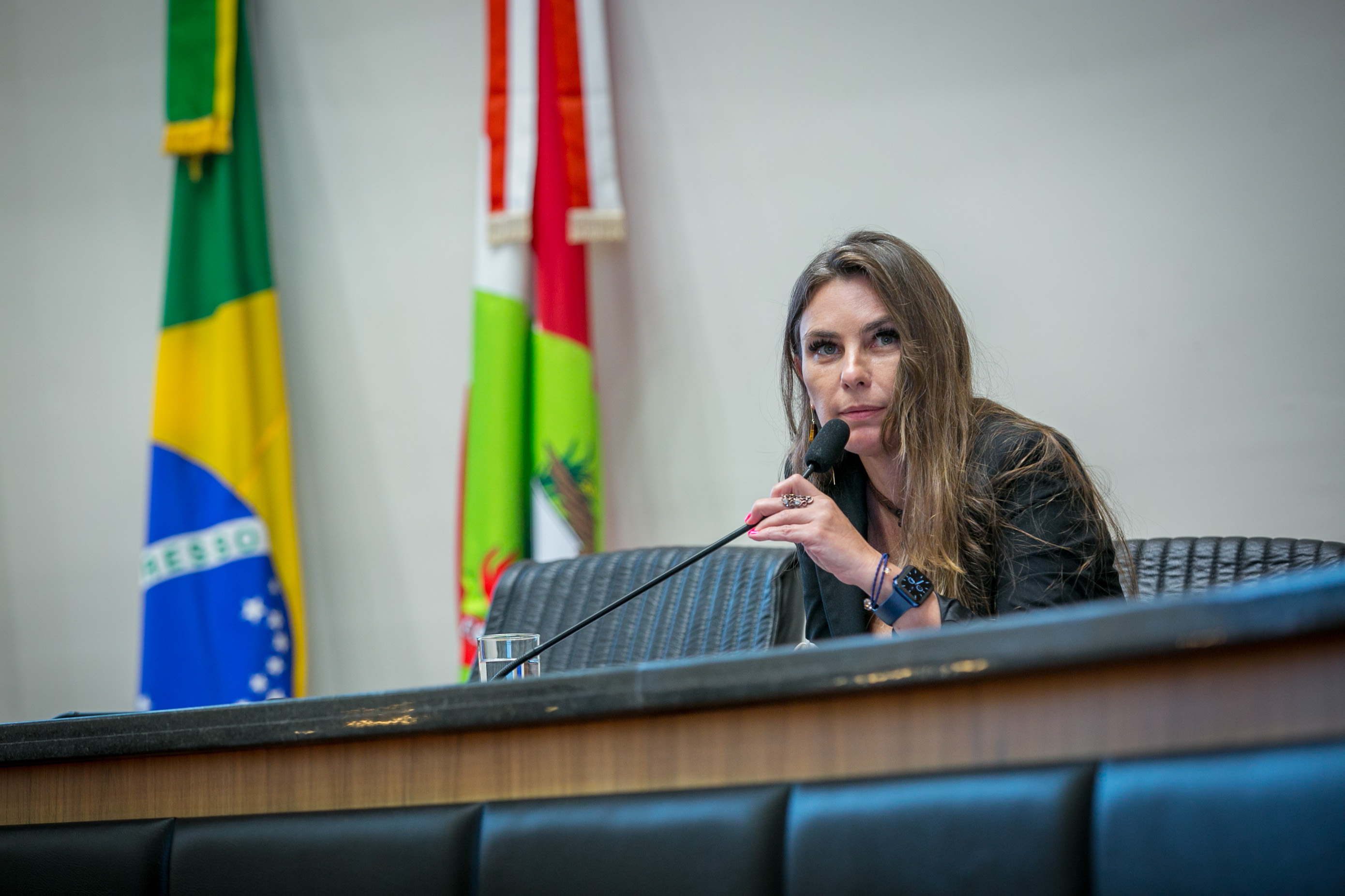 Deputada Paulinha (PDT)