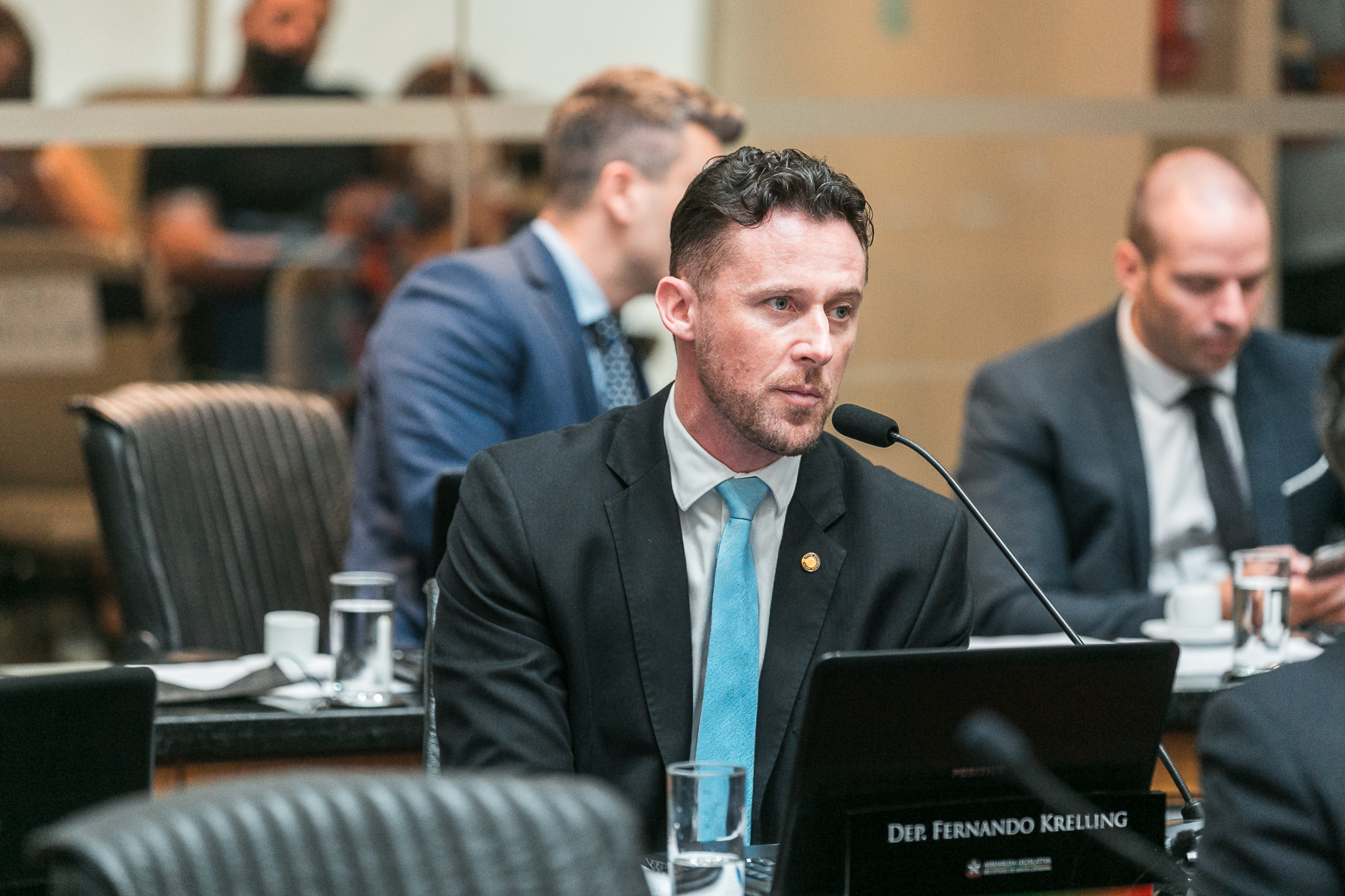 Deputado Fernando Krelling (MDB)