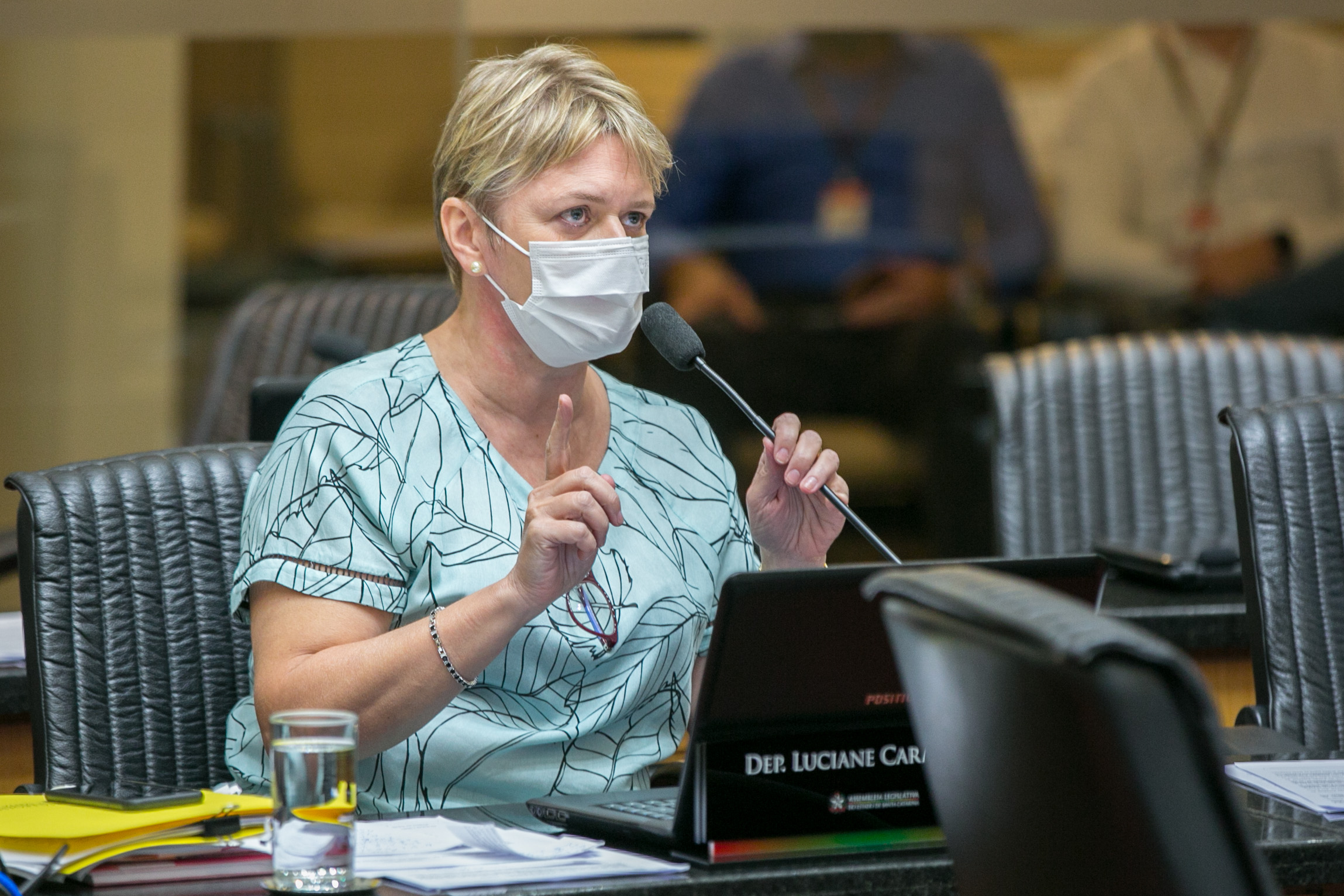 Deputada Luciane Carminatti (PT)
