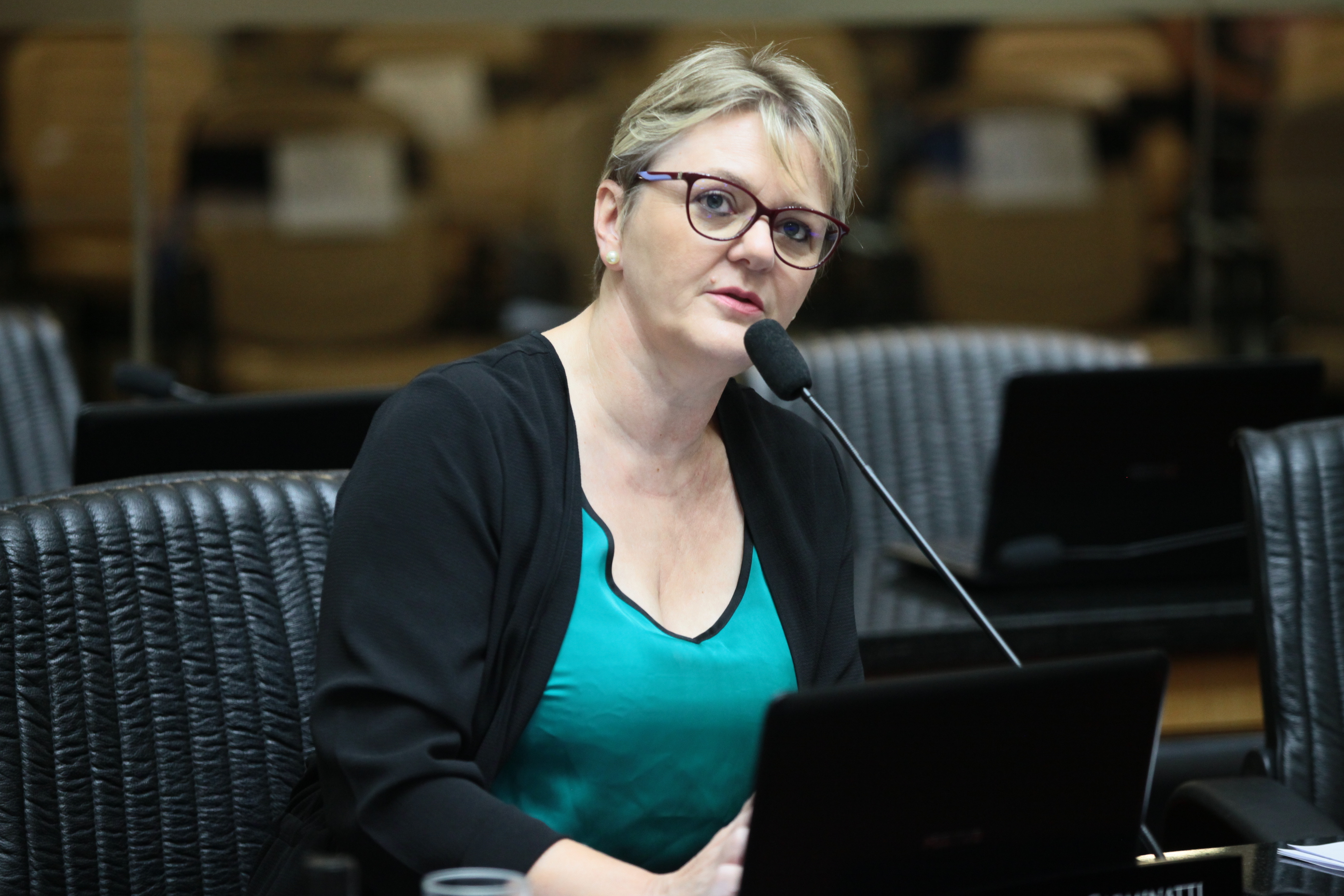Sessão Ordinária - Deputada Luciane Carminatti (PT)