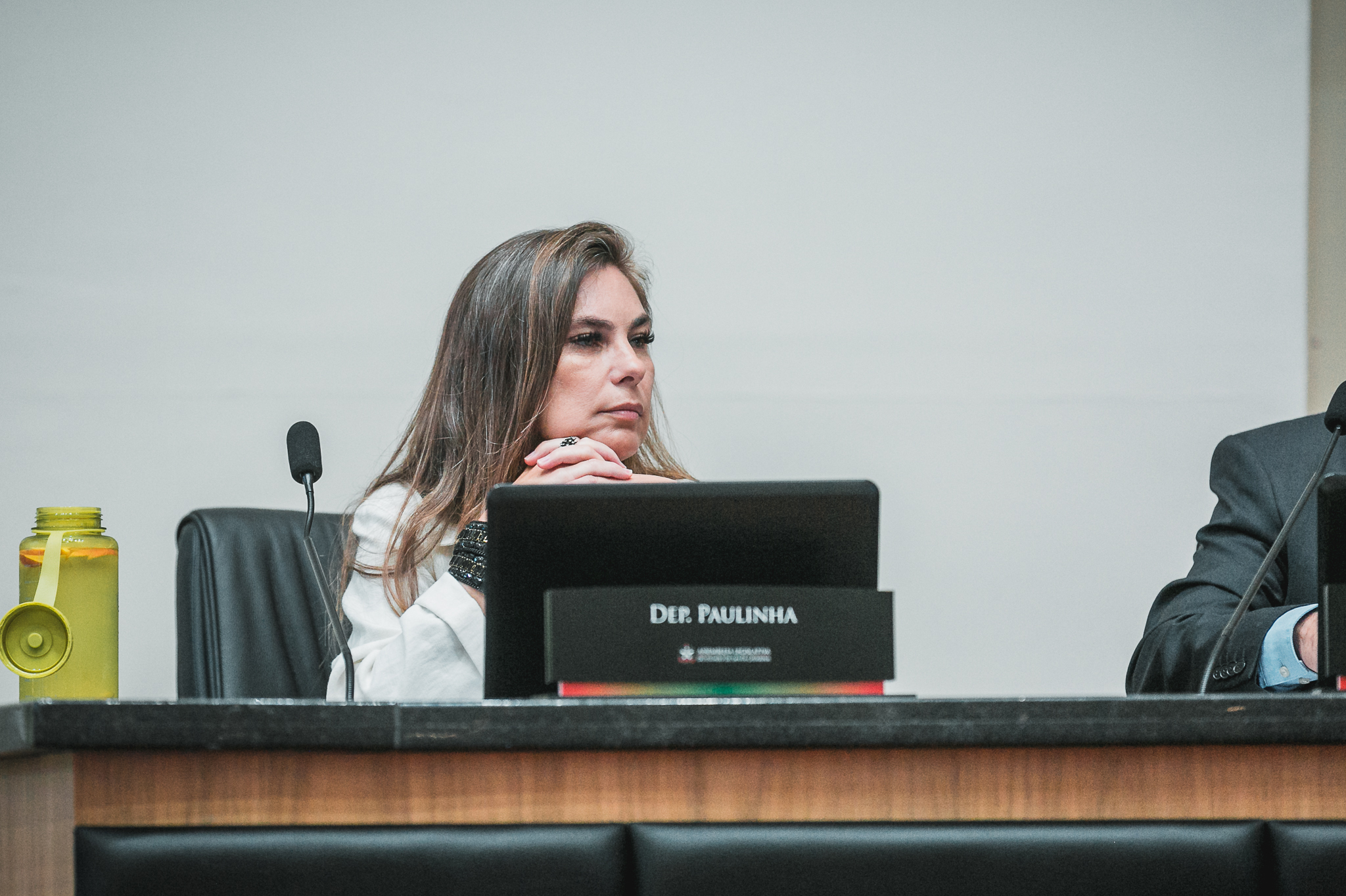 Deputada Ana Paula da Silva (PDT)