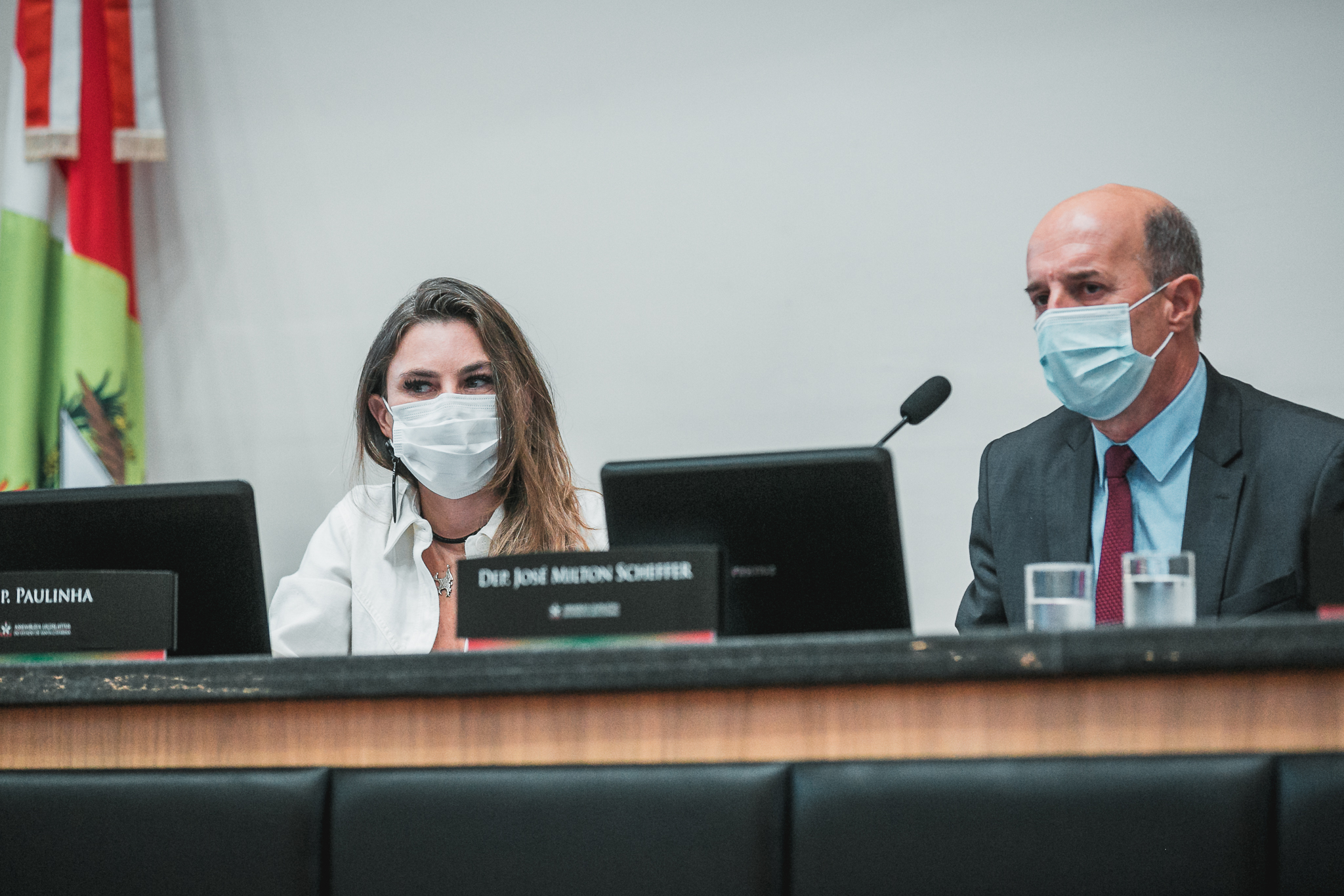 Deputada Ana Paula da Silva (PDT)