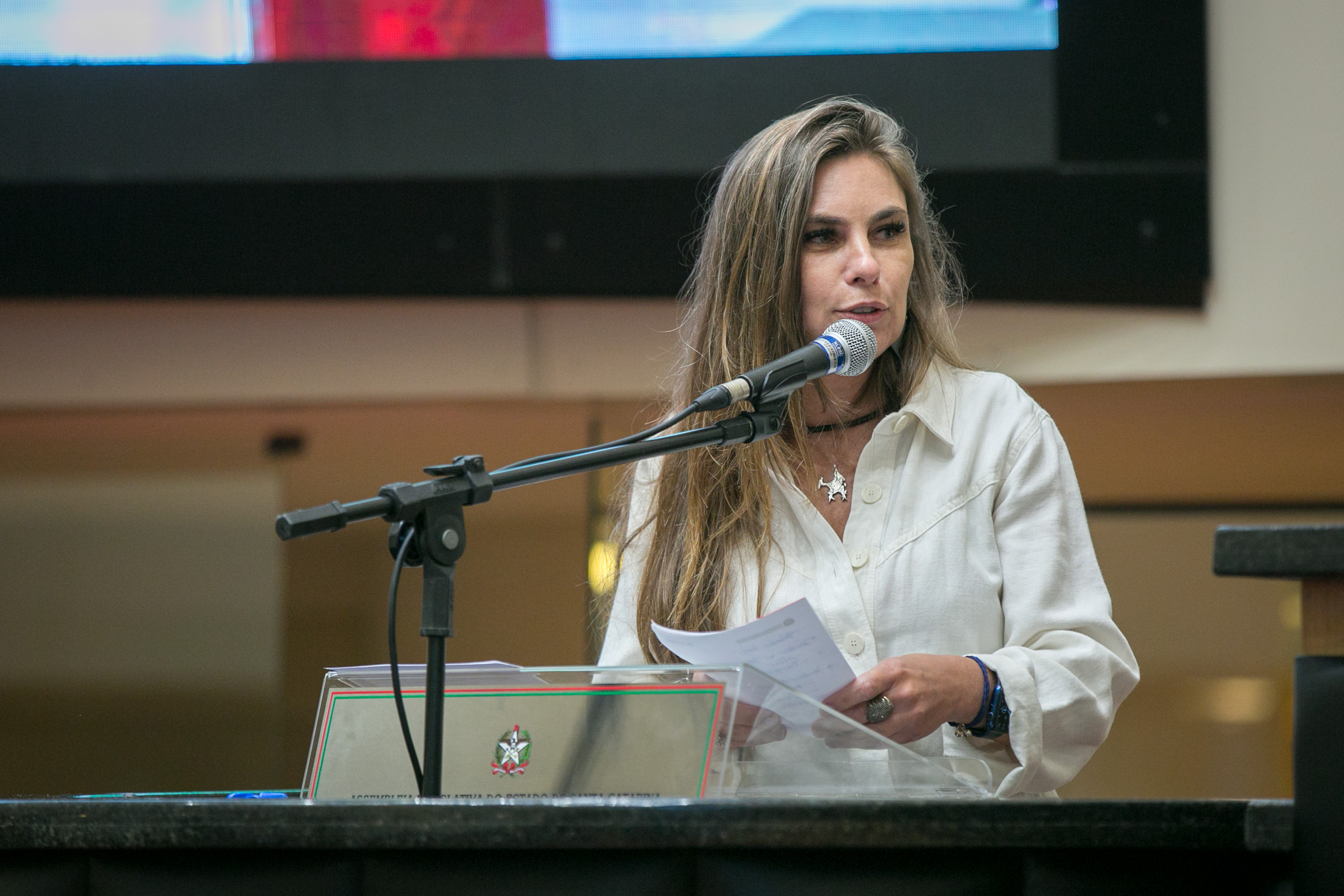 Deputada Paulinha (PDT)
