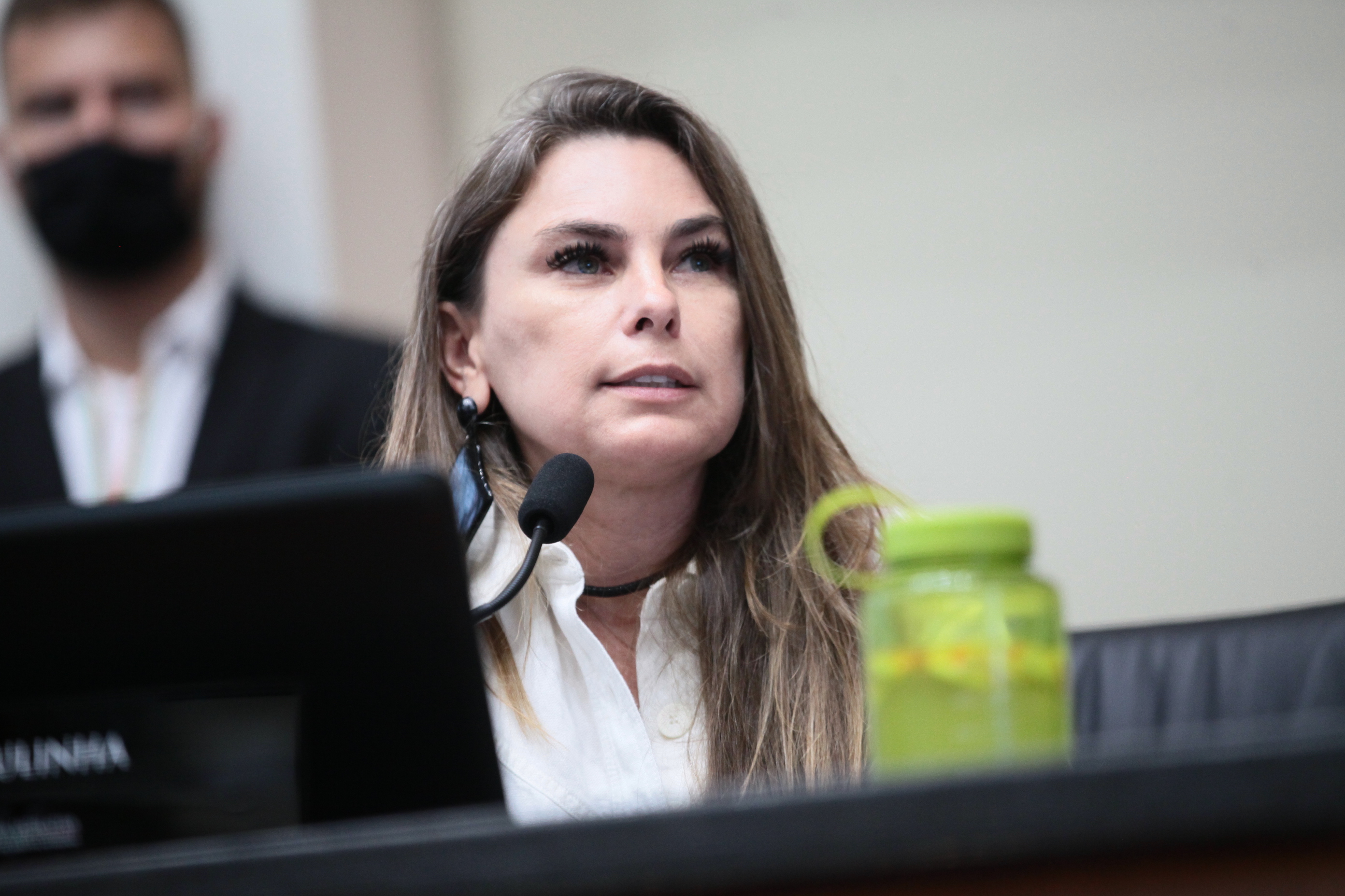 Instalação da Comissão de Turismo e Meio Ambiente - Deputada Ana Paula da Silva (PDT)