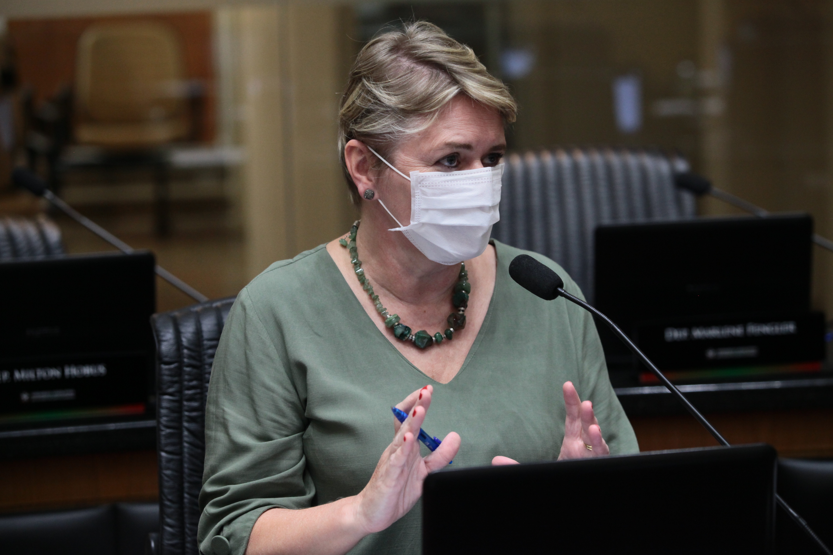 Sessão Ordinária - Deputada Luciane Carminatti (PT)