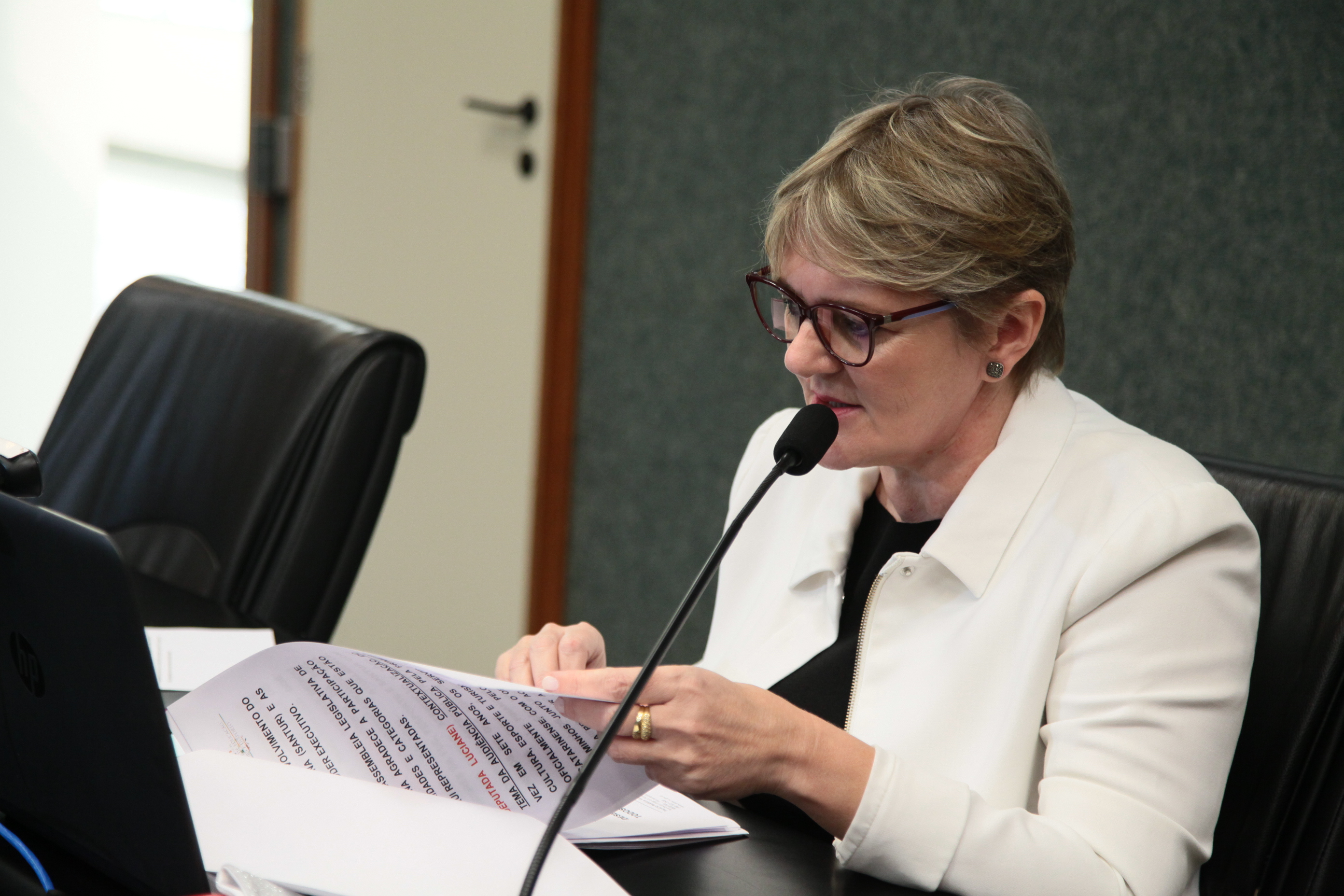 Audiência Pública da Comissão de Educação, Cultura e Desporto - Deputada Luciani Carminatti (PT)