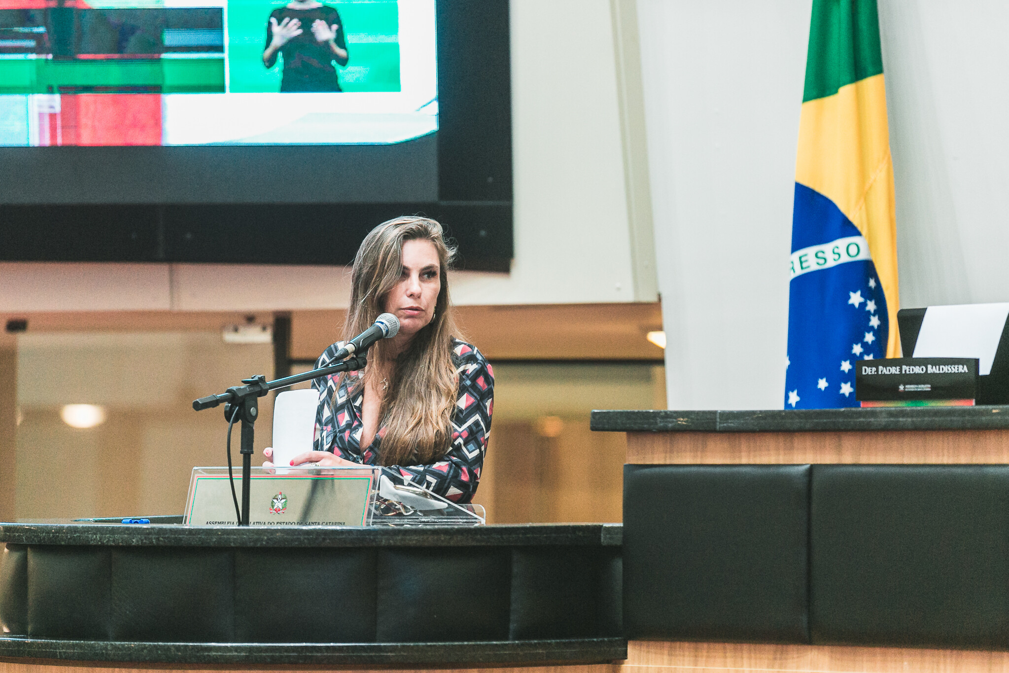 Deputada Paulinha