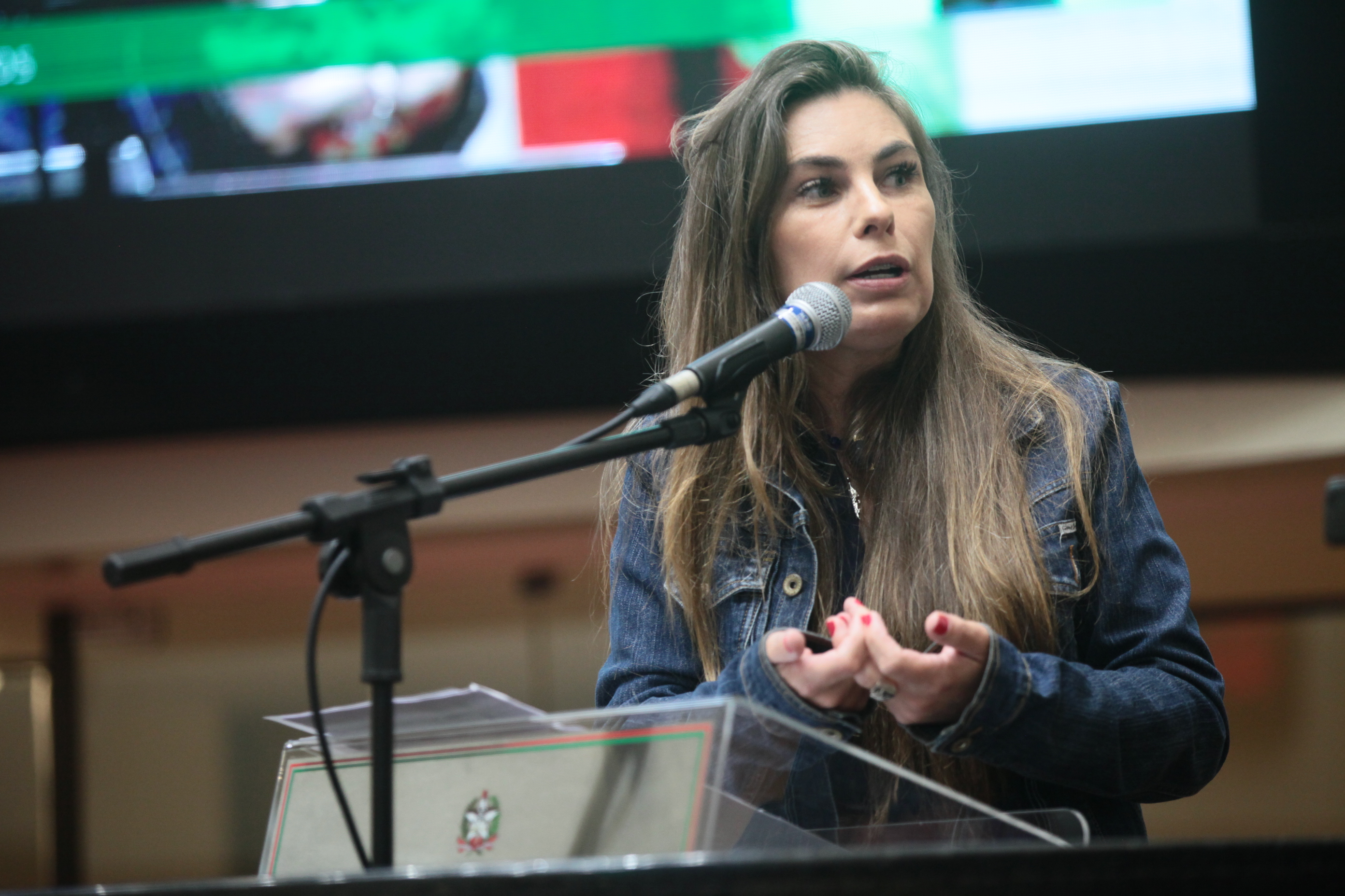 Sessão Ordinária - Deputada Ana Paula da Silva (PDT)